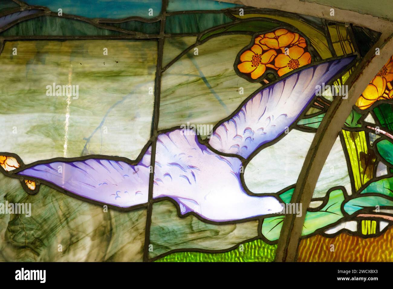 France, Meurthe et Moselle, Nancy, Musée de l'Ecole de Nancy (musée de l'Ecole de Nancy) ancien mécène Maison d'Eugène Corbin dédiée à l'Art Nouveau, vitrail représentant un oiseau du maître verrier Jacques Gruber situé dans le pavillon de l'Aquarium (bassin à poissons) construit vers 1904 par l'architecte Lucien Weissenburger situé rue du Sergent Blandan Banque D'Images