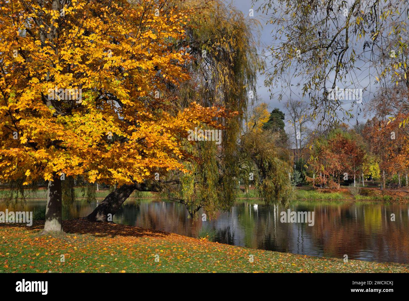 France, Bas Rhin, Strasbourg, Neustadt inscrit au patrimoine mondial de l'UNESCO, parc de l'Orangerie, le lac Banque D'Images