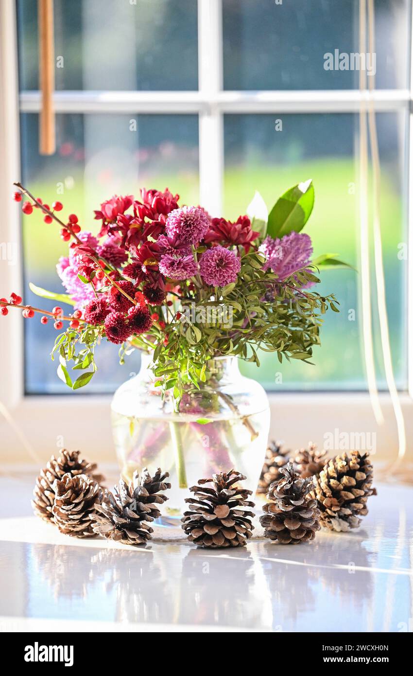 Vase en verre ornemental dans la lumière de fenêtre avec des tiges coupées montrant avec des pommes de pin autour de la base crédit Simon Dack Banque D'Images