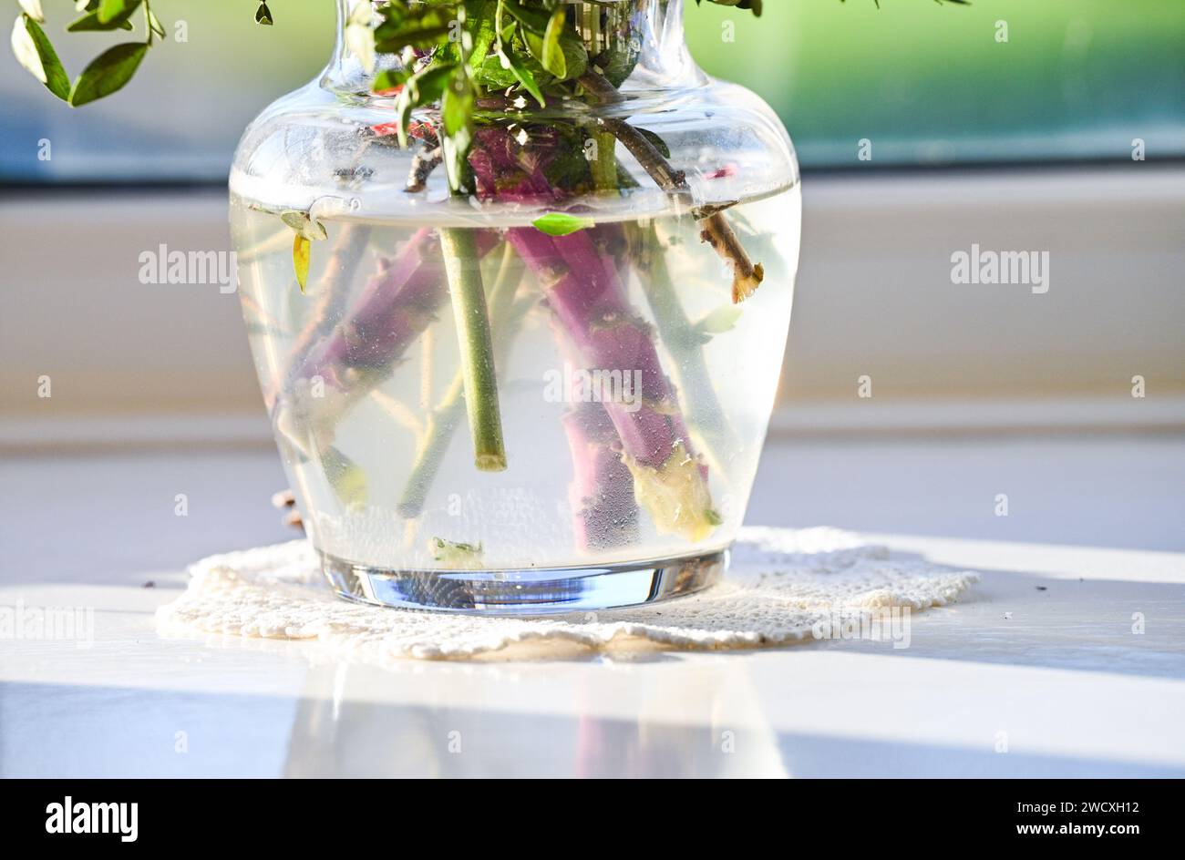 Vase en verre ornemental dans la lumière de fenêtre avec des tiges coupées montrant Banque D'Images