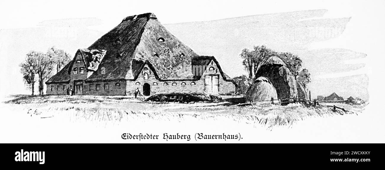 Haubarg ferme avec grand attick pour le stockage du foin, péninsule Eiderstedt, Friise du Nord, Schleswig-Holstein, Allemagne du Nord, Banque D'Images