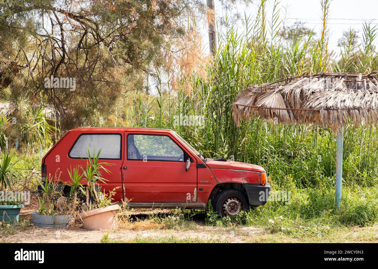 Vieille voiture abandonnée dans le jardin envahi par la lumière du jour d'été Banque D'Images Vieille voiture abandonnée dans le jardin envahi par la lumière du jour d'été Banque D'Images