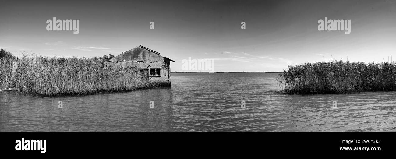 Pila (RO), Italie, un paysage avec des ruines d'un rural parmi les roseaux de la rivière po Banque D'Images