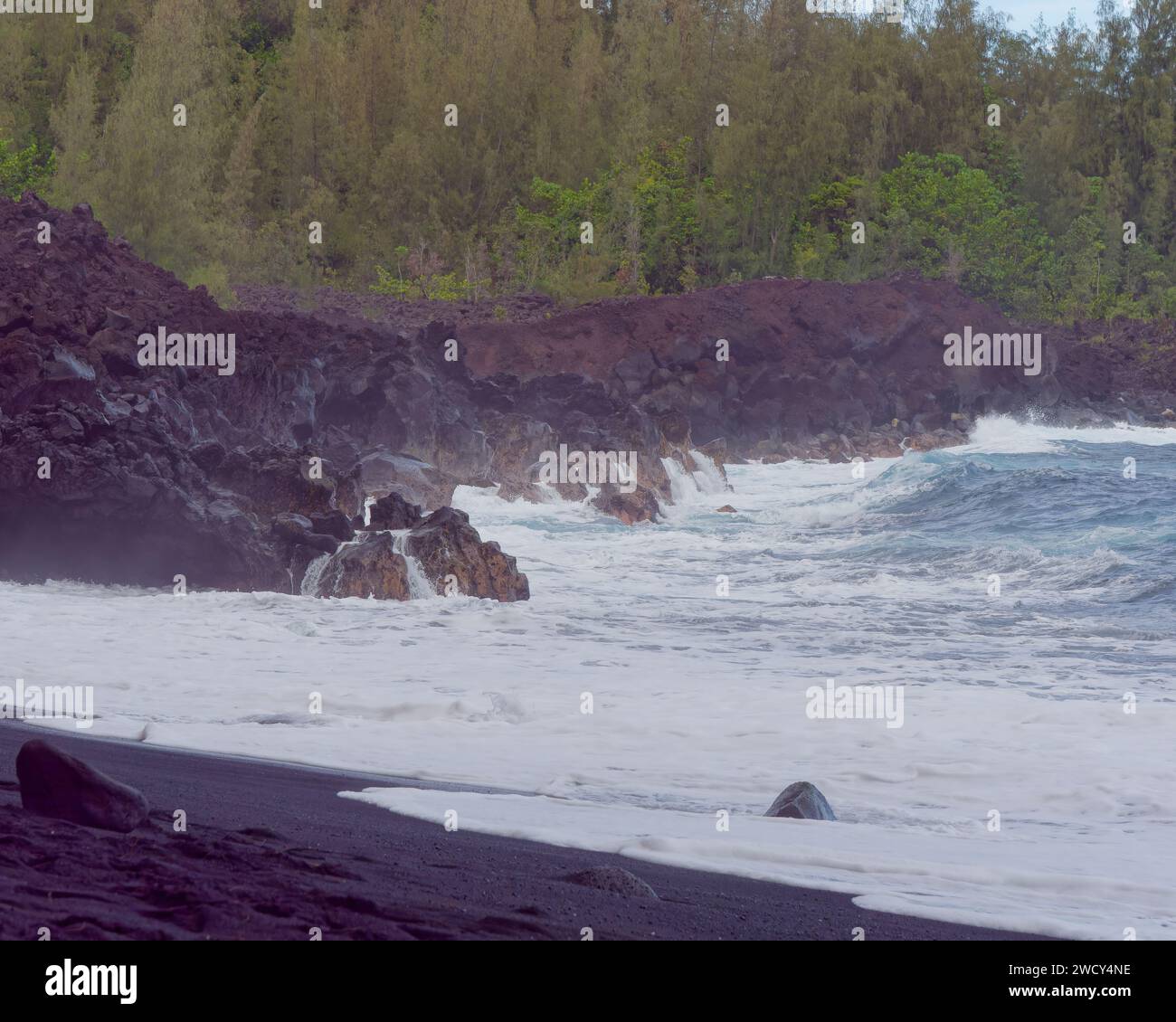 Une plage de sable noir de Kehena dans le district de Puna de Big Island, Hawaï Banque D'Images