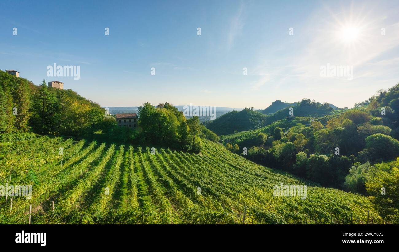 Prosecco Hills, paysage de vignobles et Credazzo Towers sur la gauche. Site du patrimoine mondial de l'UNESCO. Farra di Soligo. Vénétie, Italie, Europe. Banque D'Images