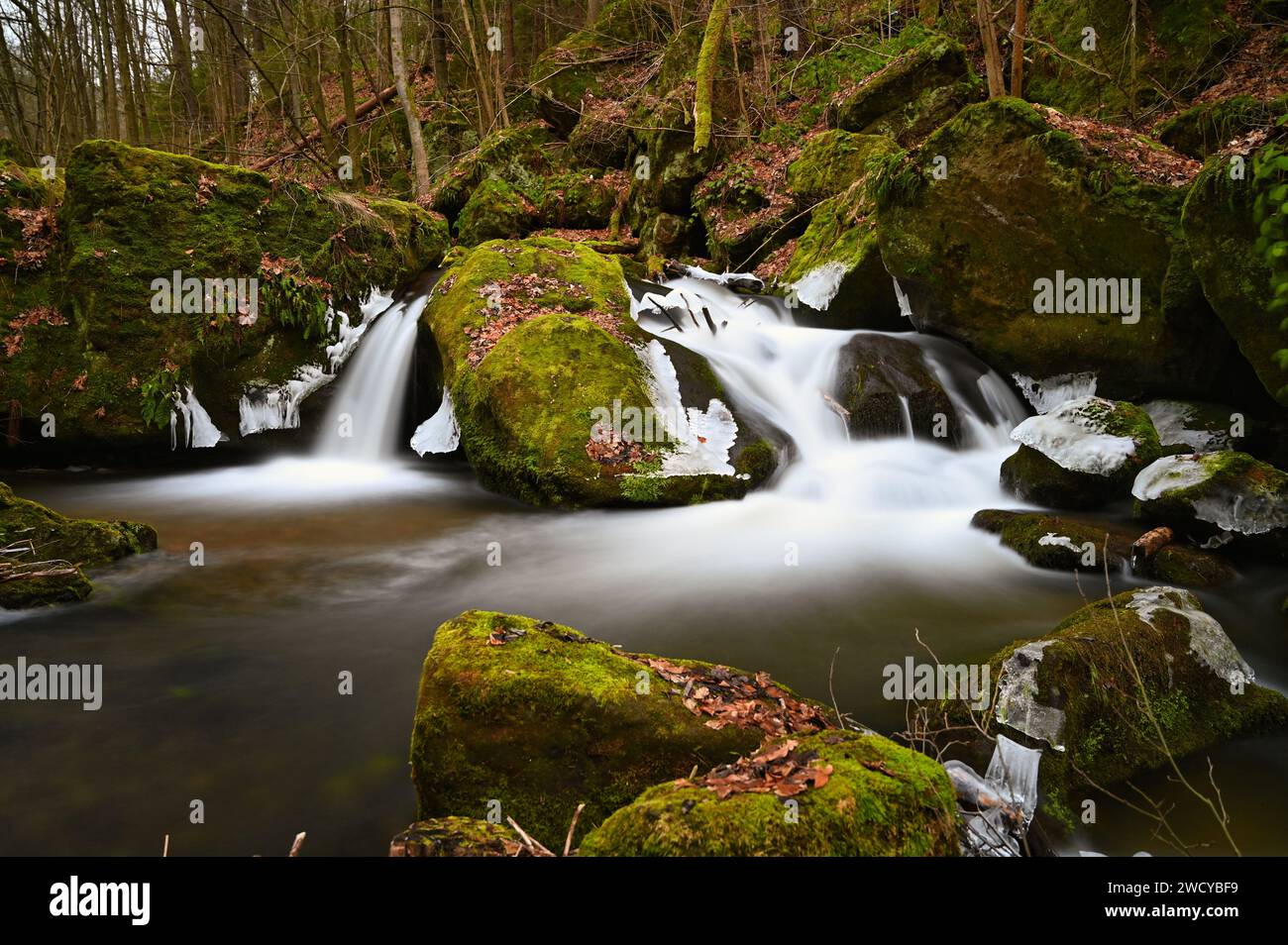 Image d'exposition longue d'un ruisseau forestier givré Banque D'Images