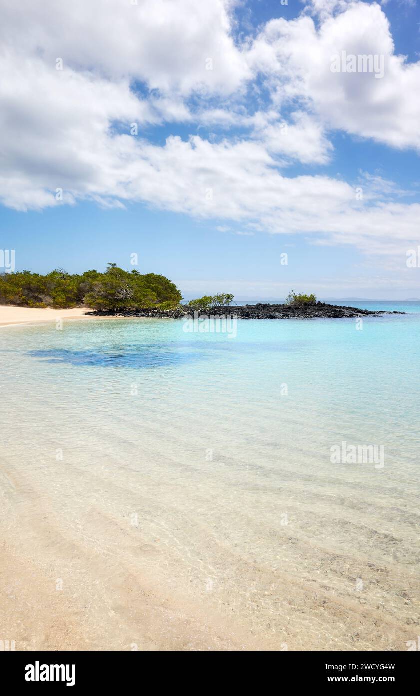 Plage immaculée sur une île inhabitée, îles Galapagos, Équateur. Banque D'Images