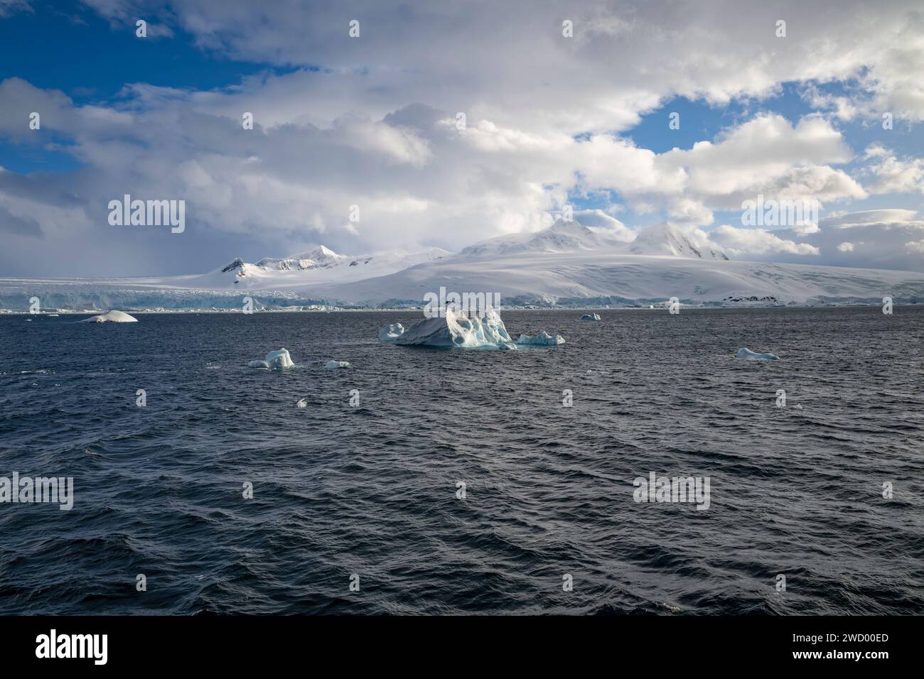 Icebergs Brialmont Cove, Antarctique, péninsule Antarctique, nombreuses berges dues à la rupture de la banquise antarctique, sculptée et façonnée par l'océan Banque D'Images