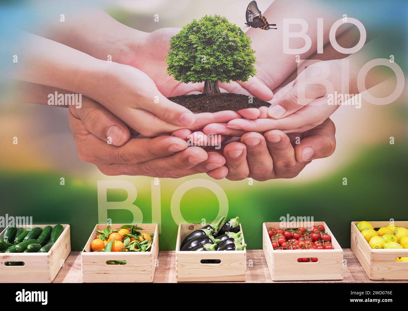 Milan, Italie - 17 janvier 2024 : caisses de fruits et légumes biologiques dans un magasin en arrière-plan une affiche invitant les gens à prendre soin de la nature. Banque D'Images