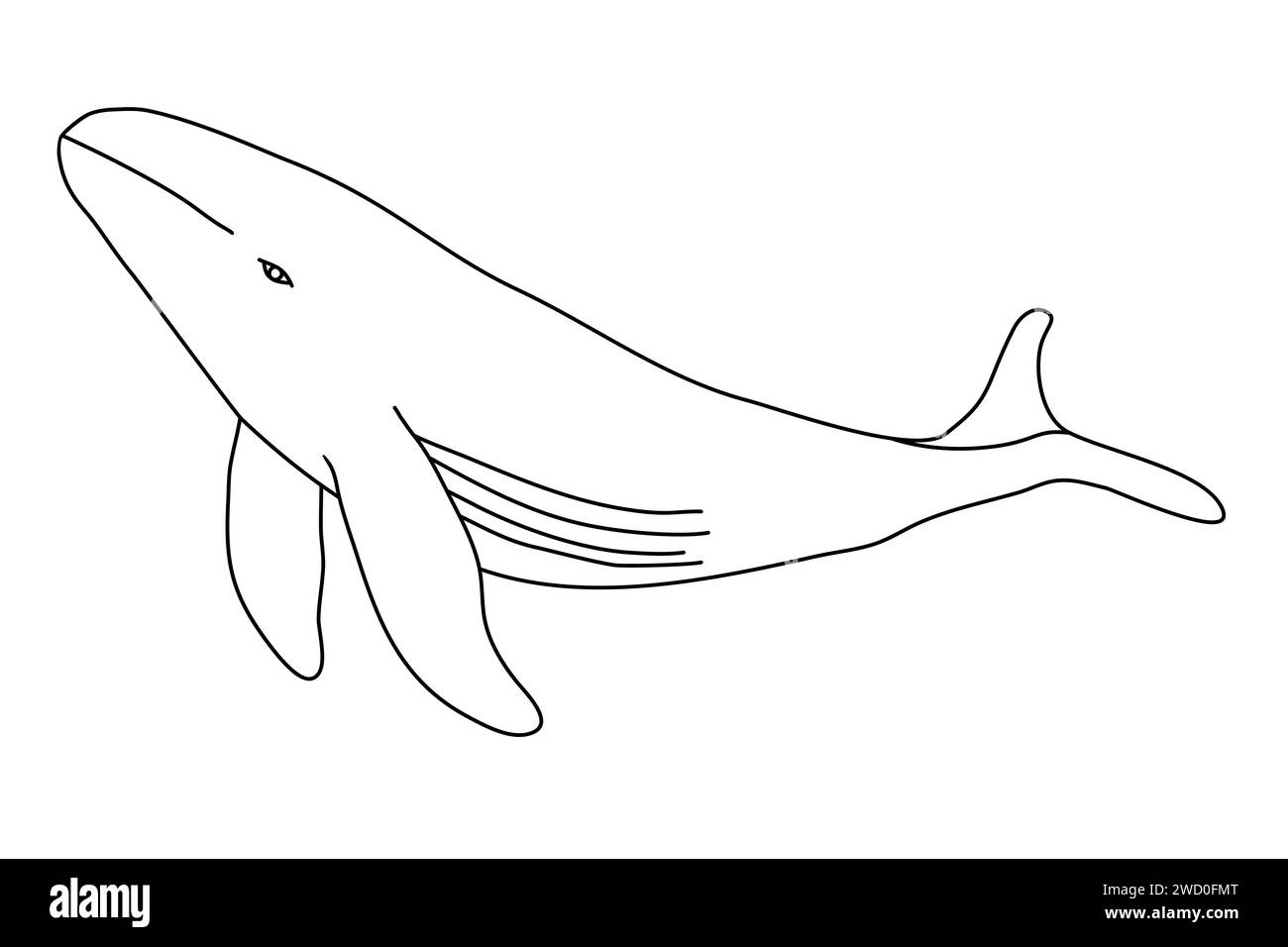 Grande baleine nageant sous l'eau, illustration vectorielle plate de style doodle pour livre de coloriage pour enfants Illustration de Vecteur