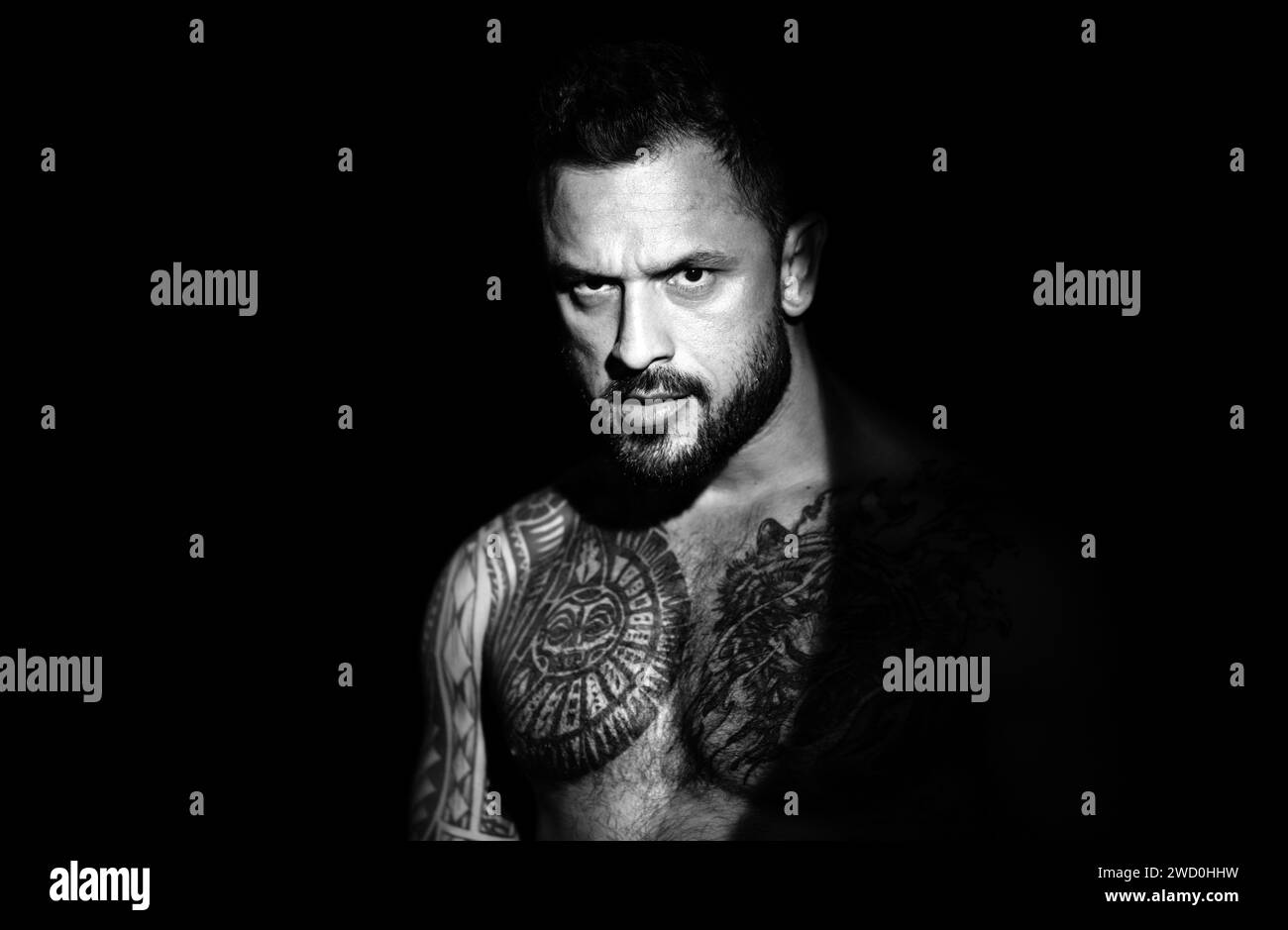 Portrait de l'homme beau.Homme brutal, visage sérieux de beau modèle masculin, concept de puissance et de force des hommes.Jeune gay. Banque D'Images