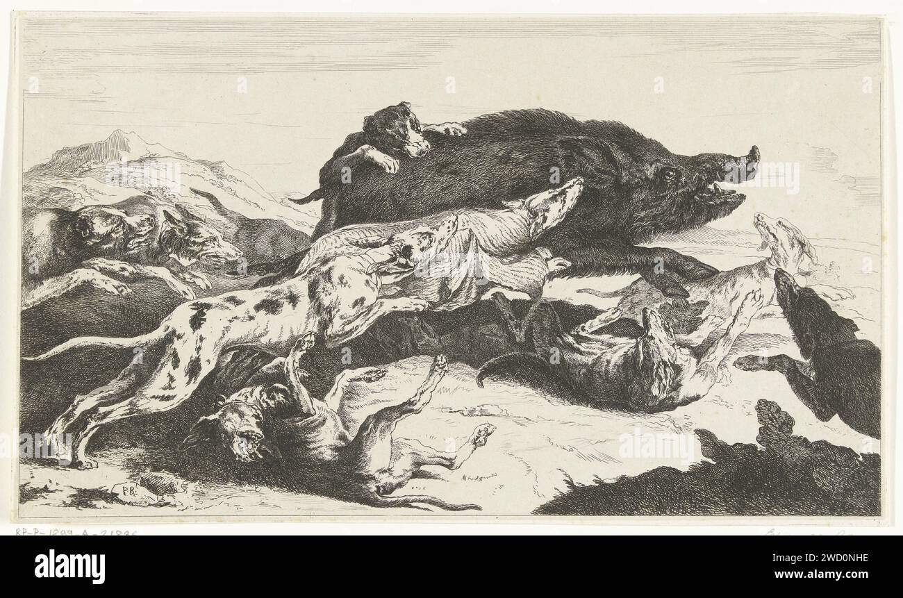 Les chiens chassent un Zwijn, William Young Ottley, d'après Peeter Boel, 1828 print Wildezwijnenjacht. Une meute de chiens conduit un sanglier. Chasse au sanglier sur papier londonien Banque D'Images