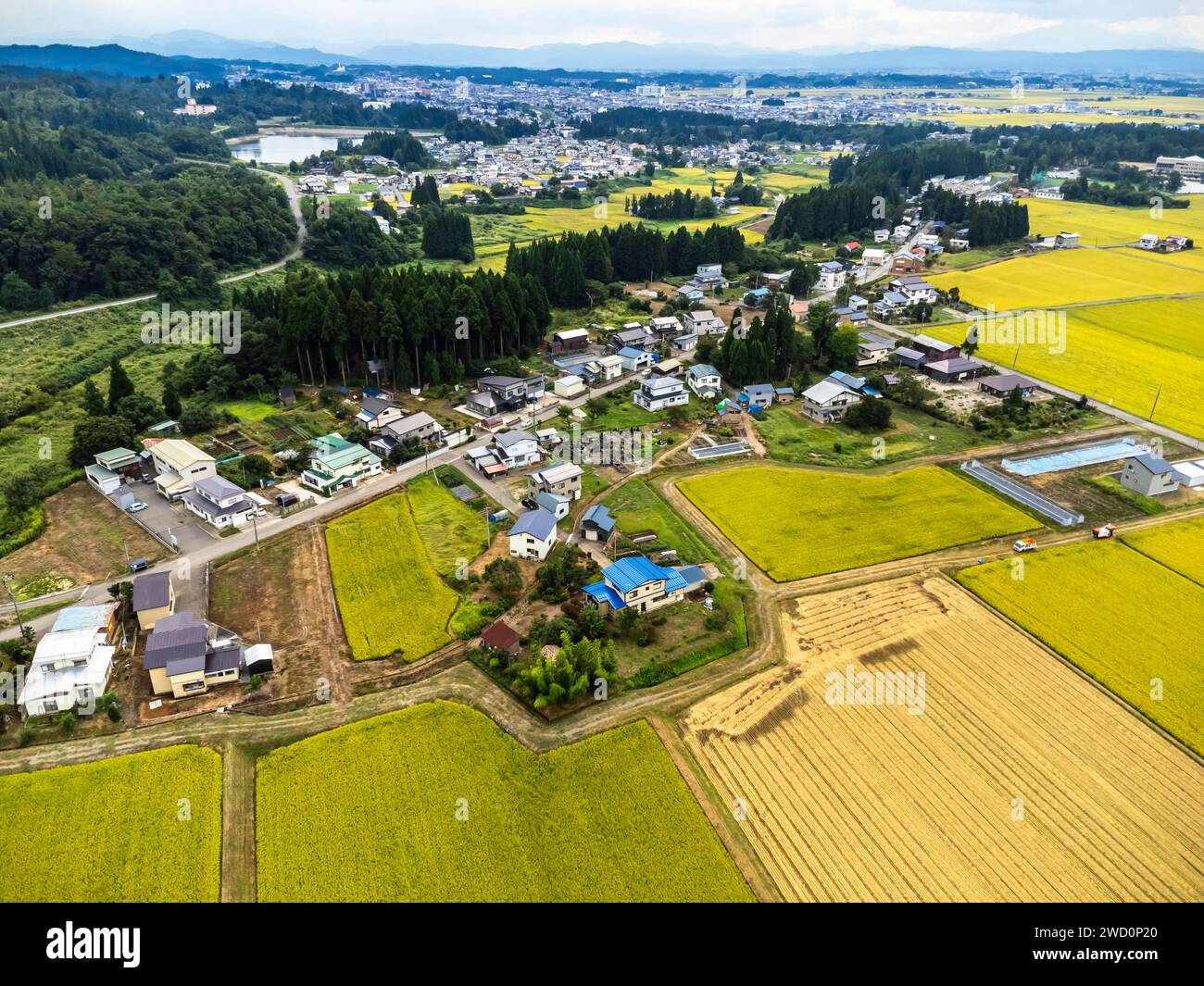 Champ de riz, couleur jaune de la récolte d'automne, pied de montagnes, drone aérien, ville de Yokote, Akita, Tohoku, Japon, Asie de l'est, Asie Banque D'Images