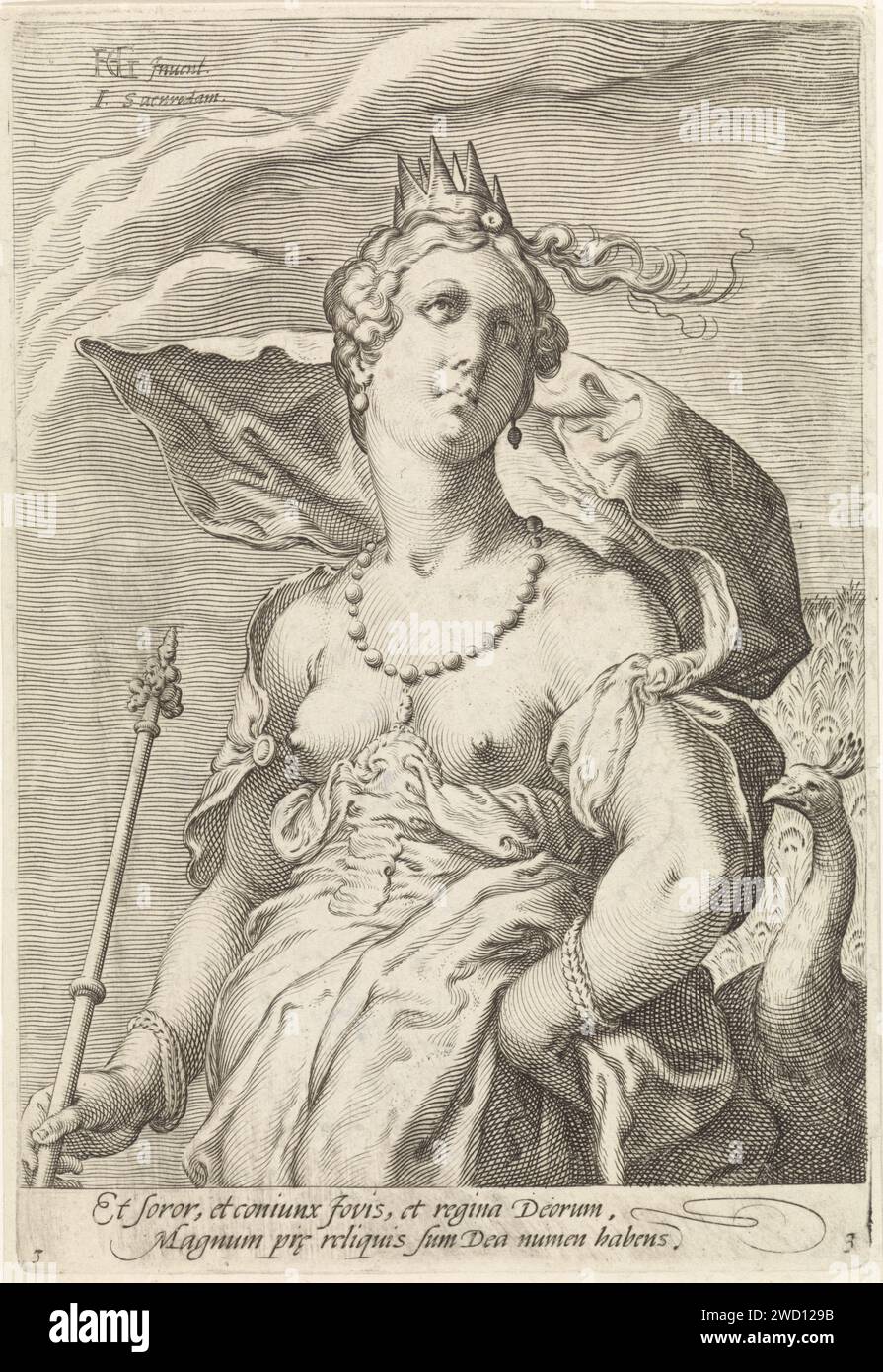 Juno, Jan Saenredam, d'après Hendrick Goltzius, 1596 - 1652 imprimer la déesse Juno, avec une couronne sur la tête. A côté d'elle un paon, son attribut. L'estampe fait partie d'une série en trois parties avec les trois déesses du jugement de Paris et a une légende latine. Imprimeur : Northern Netherlandspublisher : Amsterdam gravure sur papier (histoire de) Juno (Hera). Le jugement de Paris (sans Mercure). Attributs de Juno (avec NOM) Banque D'Images
