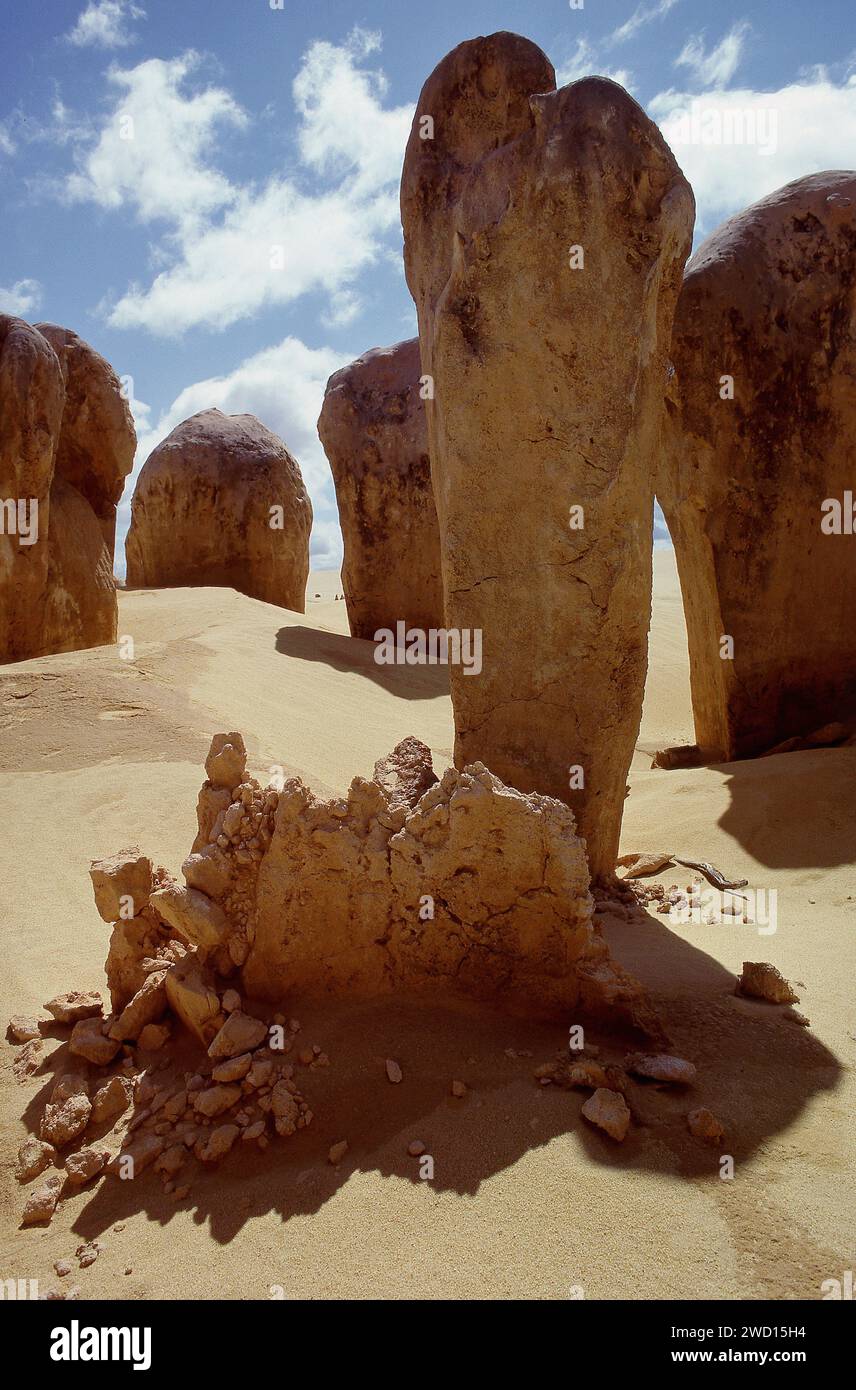LE PARC NATIONAL DE NAMBUNG EN AUSTRALIE OCCIDENTALE CONTIENT DES FORMATIONS CALCAIRES APPELÉES PINNACLES DANS LE DÉSERT DES PINNACLES. Banque D'Images