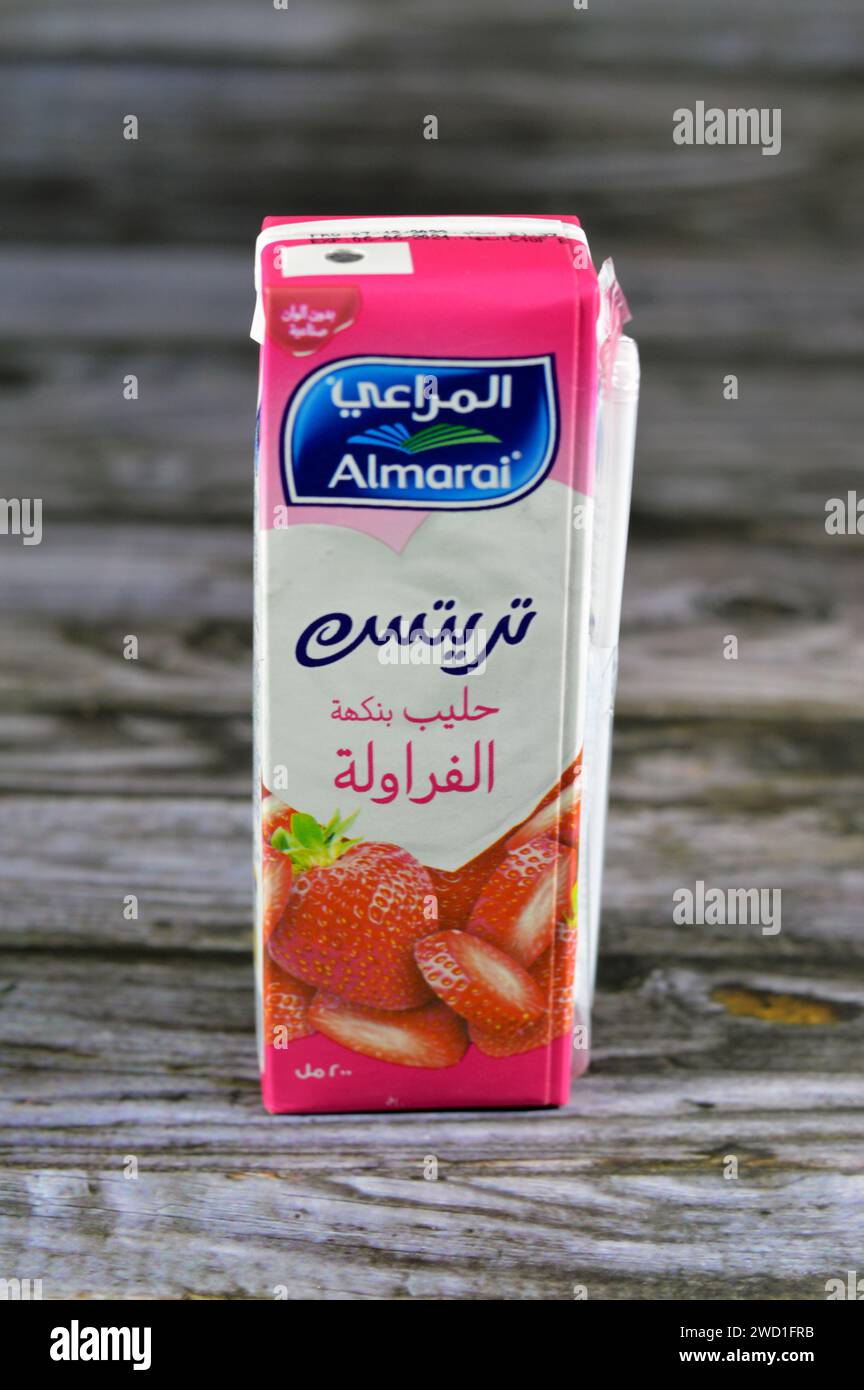 Le Caire, Egypte, janvier 15 2024 : Almarai traite le lait à saveur de fraise, un type de lait aromatisé fait par saveur de fraise avec du lait, buvez des mélanges de DEL Banque D'Images