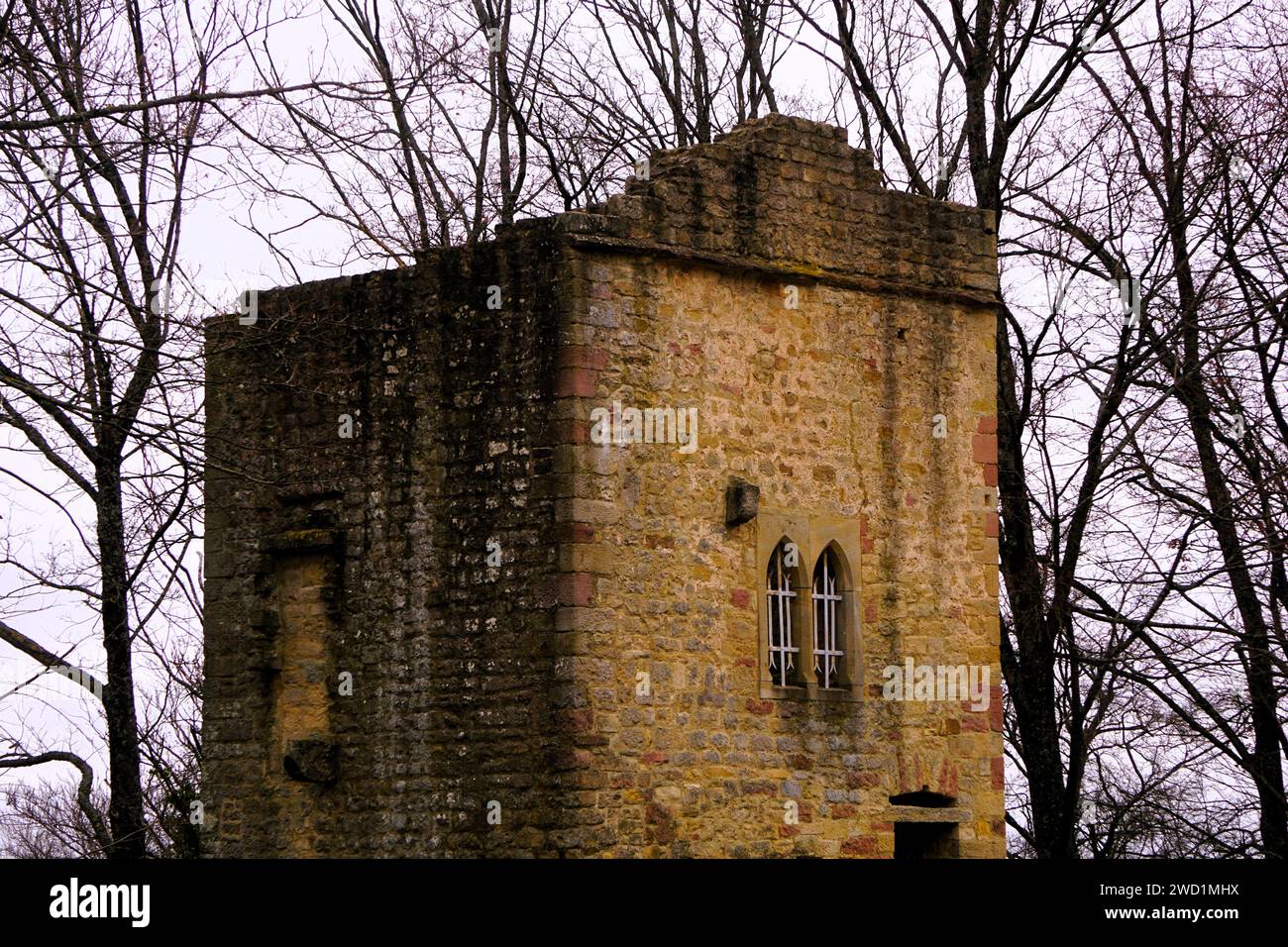 Le château médiéval de Hambach (Hambacher Schloss) à Neustadt en Allemagne Banque D'Images