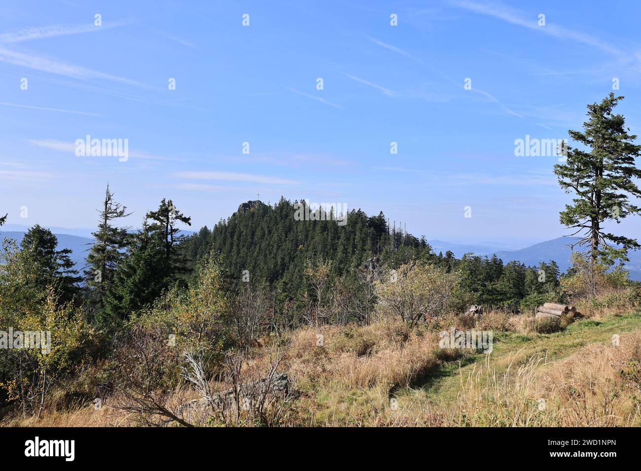 Herbst am Großen Osser im Bayerischen Wald Banque D'Images