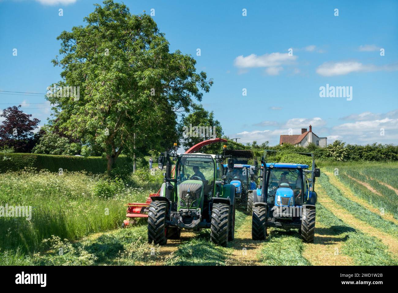 Tracteurs agricoles fauchant, coupant et ramassant la récolte verte pour l'ensilage ou le fourrage dans la ferme déposée par jour sec ensoleillé en juin, Leicestershire, Angleterre, Royaume-Uni Banque D'Images