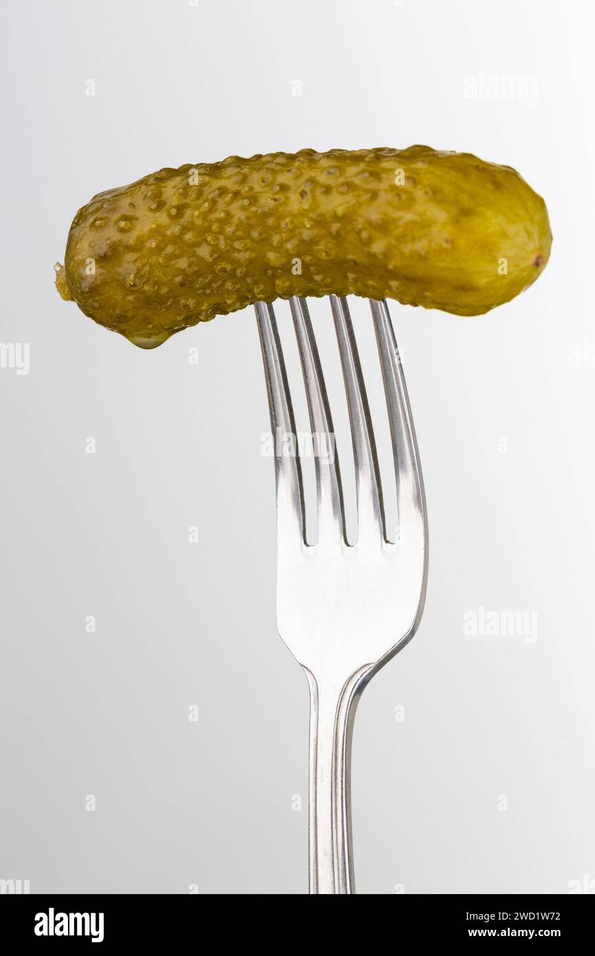 Gros plan d'un cornichon picklé sur une fourchette Banque D'Images