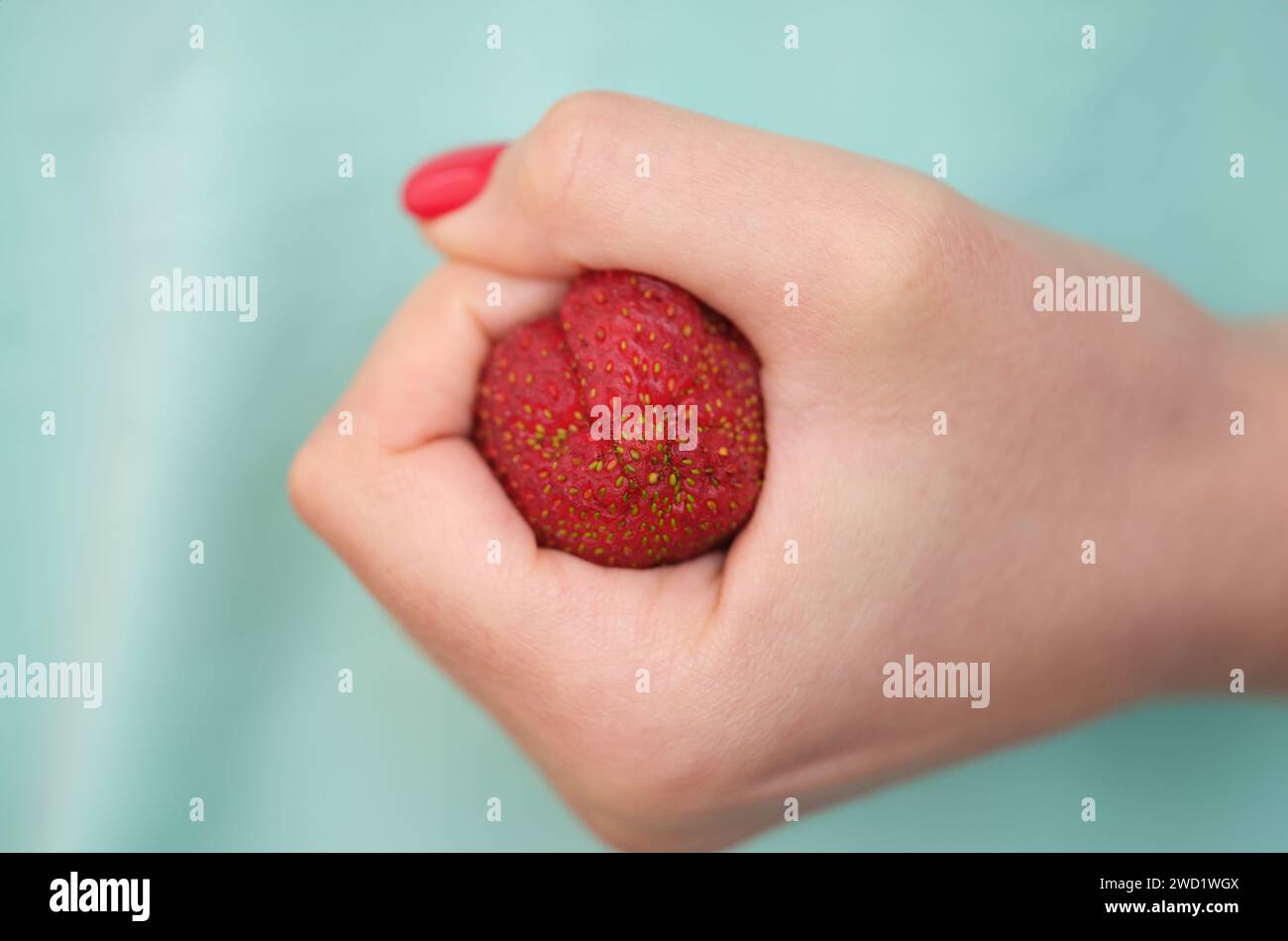 Anatomie du côlon problématique dans les mains. Notion : fraise trempée et indénante Banque D'Images