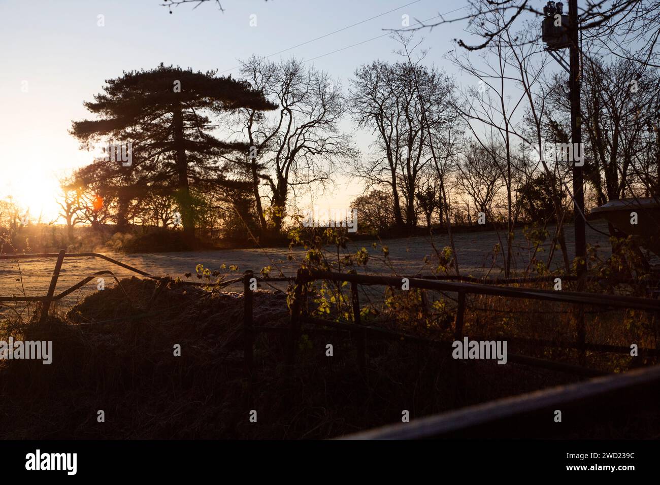 Lever du soleil tôt le matin dans le village rural de Clyst St. George Devon, Royaume-Uni durcissement des températures froides avec chevaux/écuries et champs. Banque D'Images