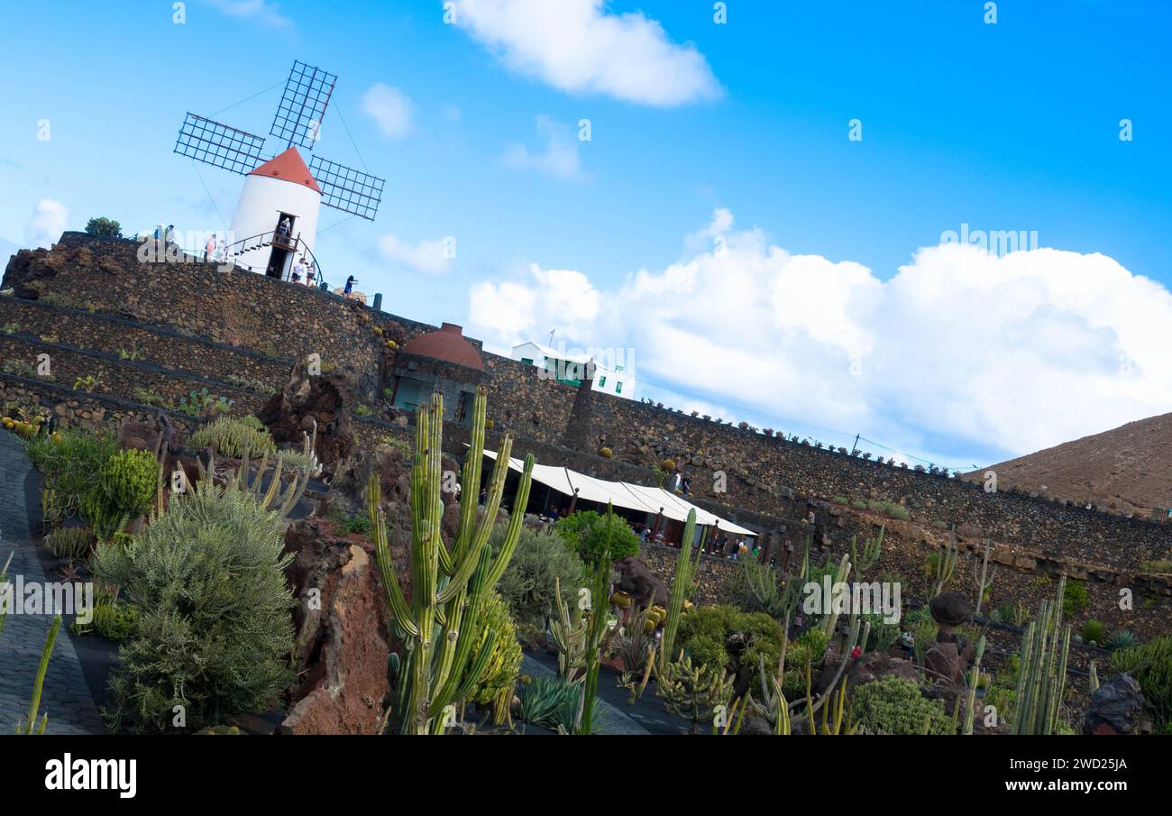 Le Jardín de Cactus est un cactus et un jardin succulent au nord de Guatiza sur la côte nord-est de Lanzarote. Attraction touristique populaire. Banque D'Images