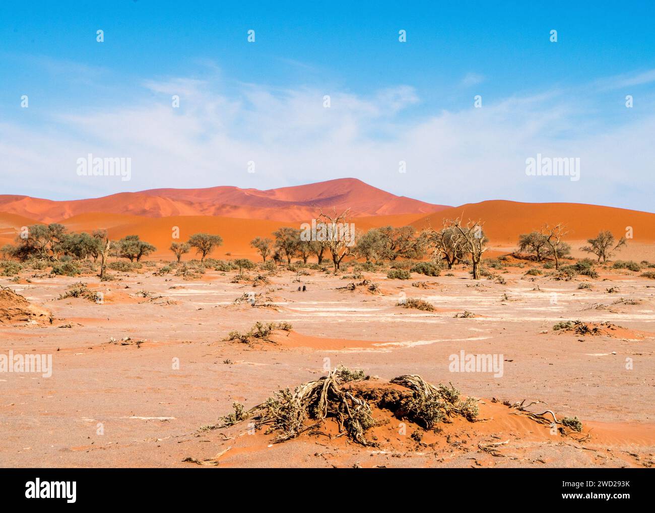 Namibie Sossusvlei Beauté dans la nature Banque D'Images