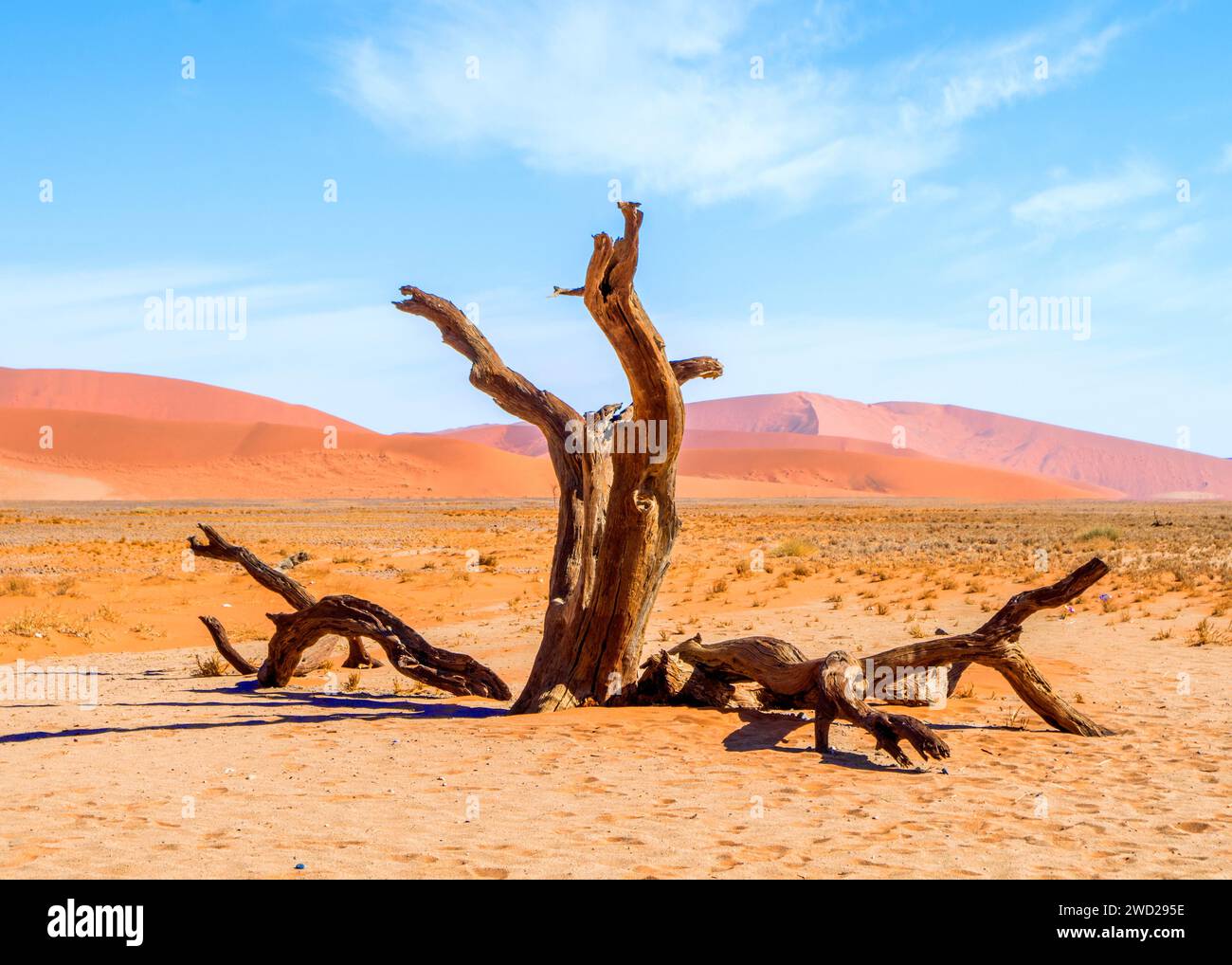 Namibie Sossusvlei Beauté dans la nature Banque D'Images