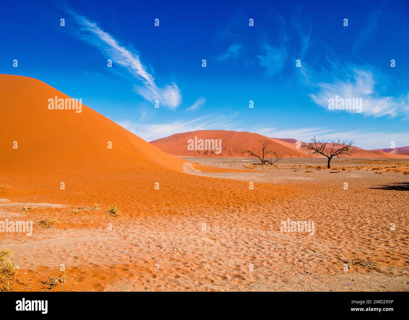 Namibie Sossusvlei Beauté dans la nature Banque D'Images