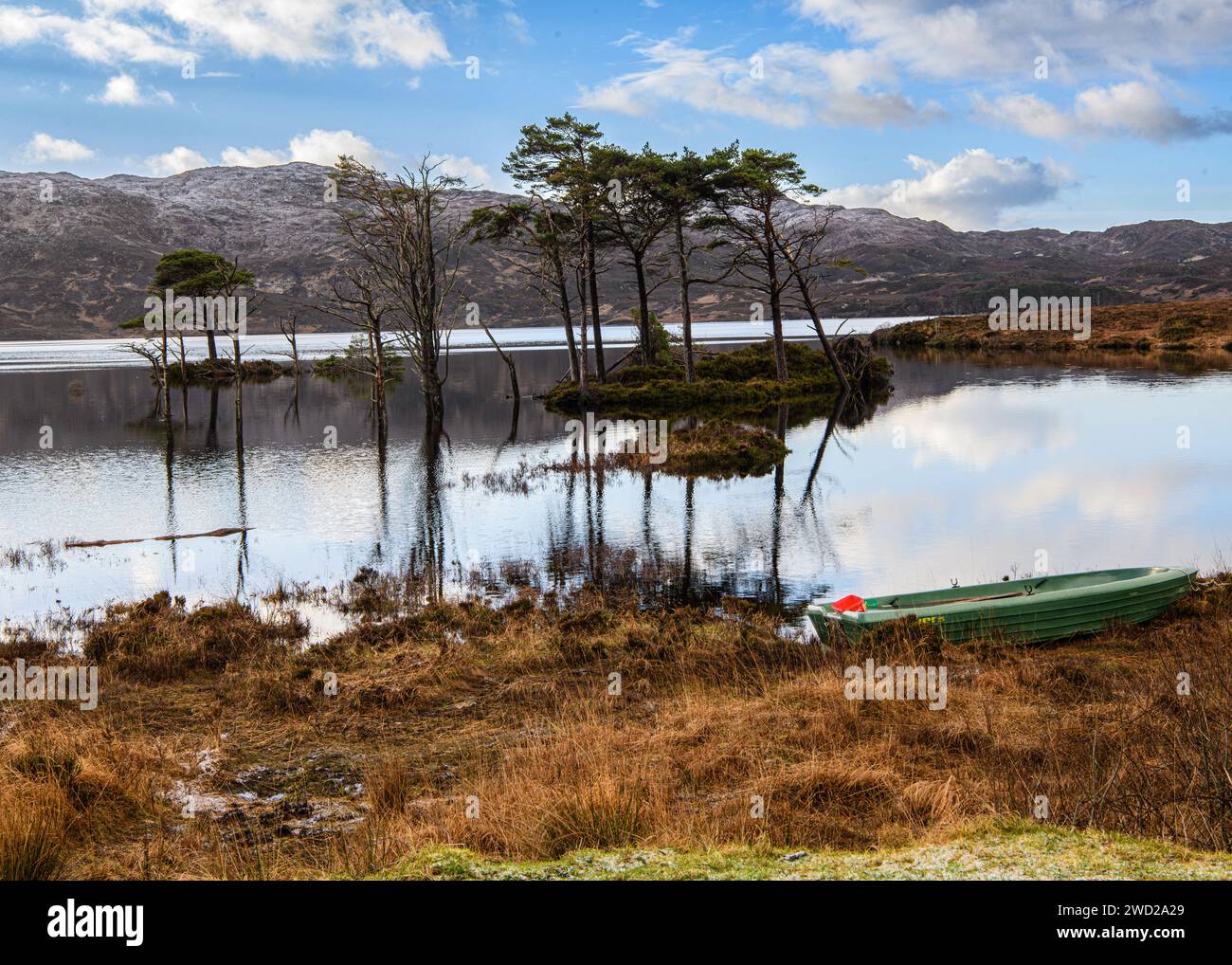 Île d'arbres reflétée dans le Loch Assynt Banque D'Images