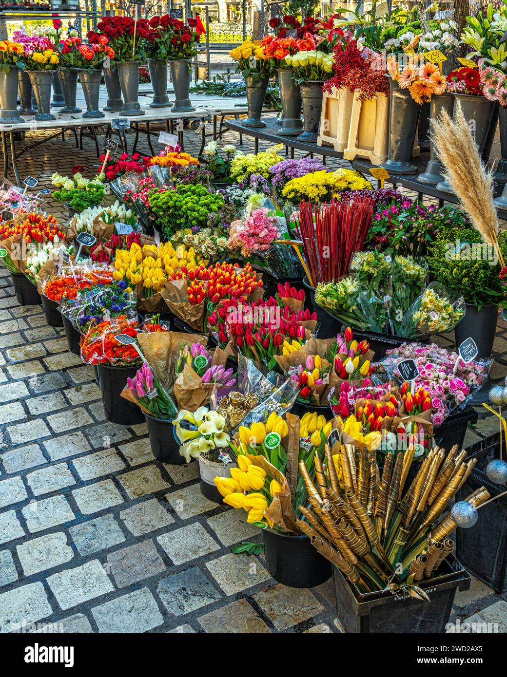 Fleuriste expose ses produits sur la place Jean-Jaurès à Saint-Étienne. Saint-Étienne, région Auvergne-Rhône-Alpes, France, Europe Banque D'Images