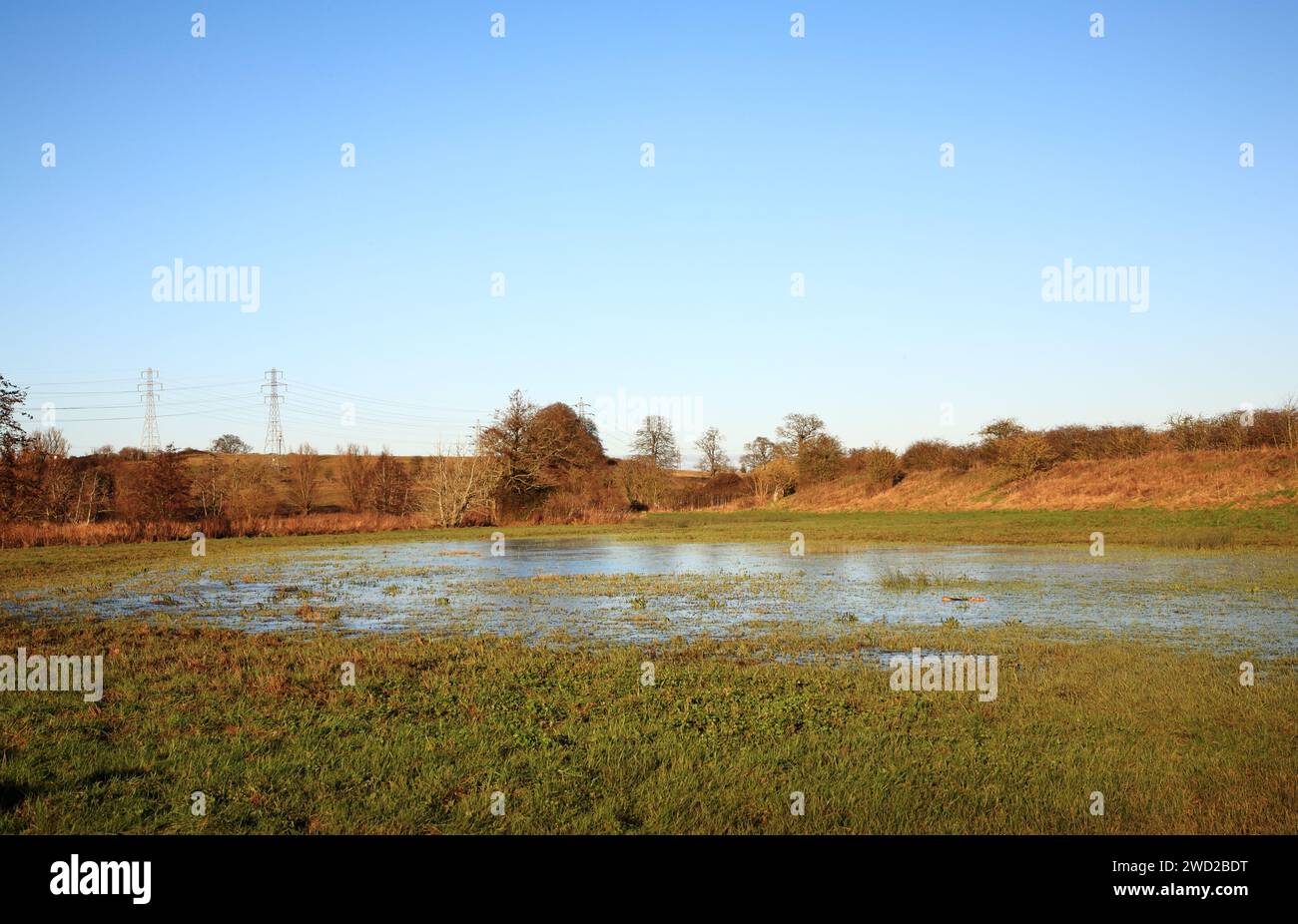 Pâturage inondé suite au débordement de la rivière TAS après de fortes pluies à Caistor St Edmund, Norfolk, Angleterre, Royaume-Uni. Banque D'Images