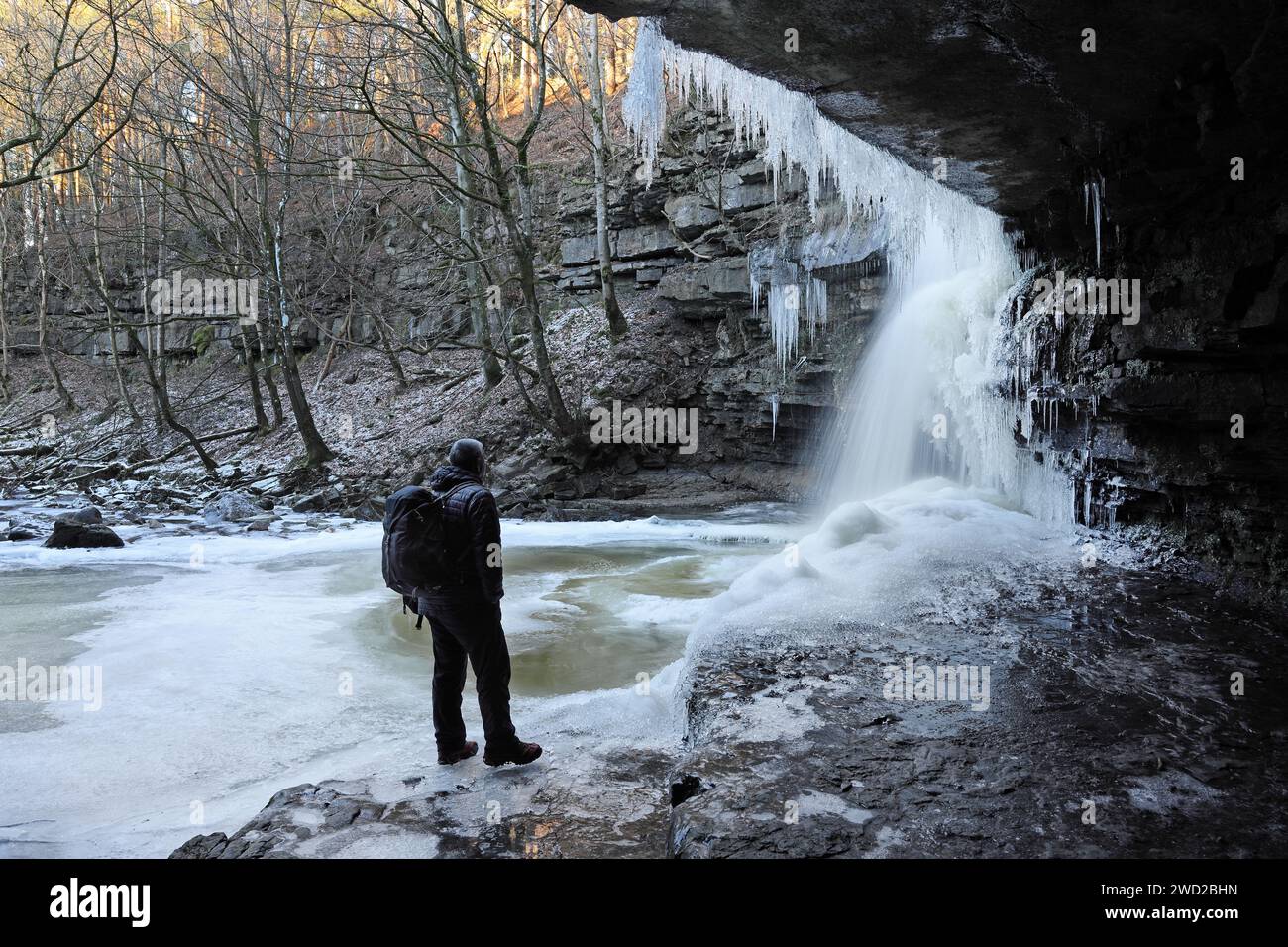 Summerhill Force, Teesdale, comté de Durham, Royaume-Uni. 18 janvier 2024. UK Météo. Un marcheur apprécie le spectacle de la cascade partiellement gelée de Summerhill Force alors que les températures restent bien en dessous du point de congélation à Teesdale, dans le comté de Durham. Crédit : David Forster/Alamy Live News Banque D'Images