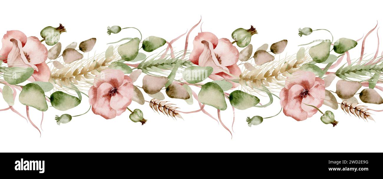 Il s'agit d'une bordure sans couture aquarelle de pavot délicat et épillet sur un fond blanc. Idéal pour une utilisation dans les projets de conception tels que les tissus Banque D'Images