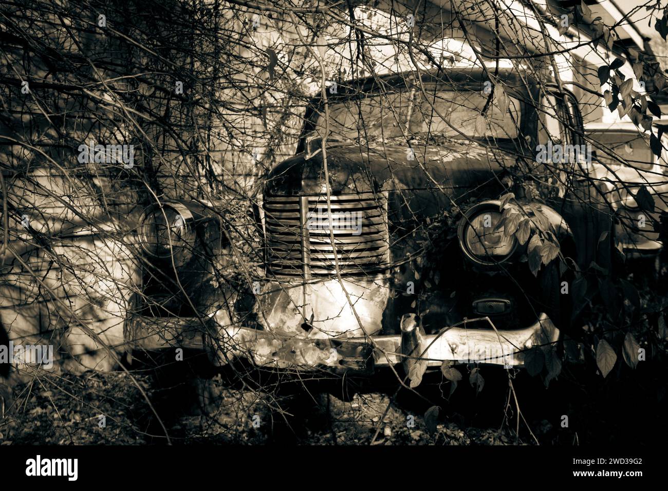 Voiture abandonnée Banque D'Images