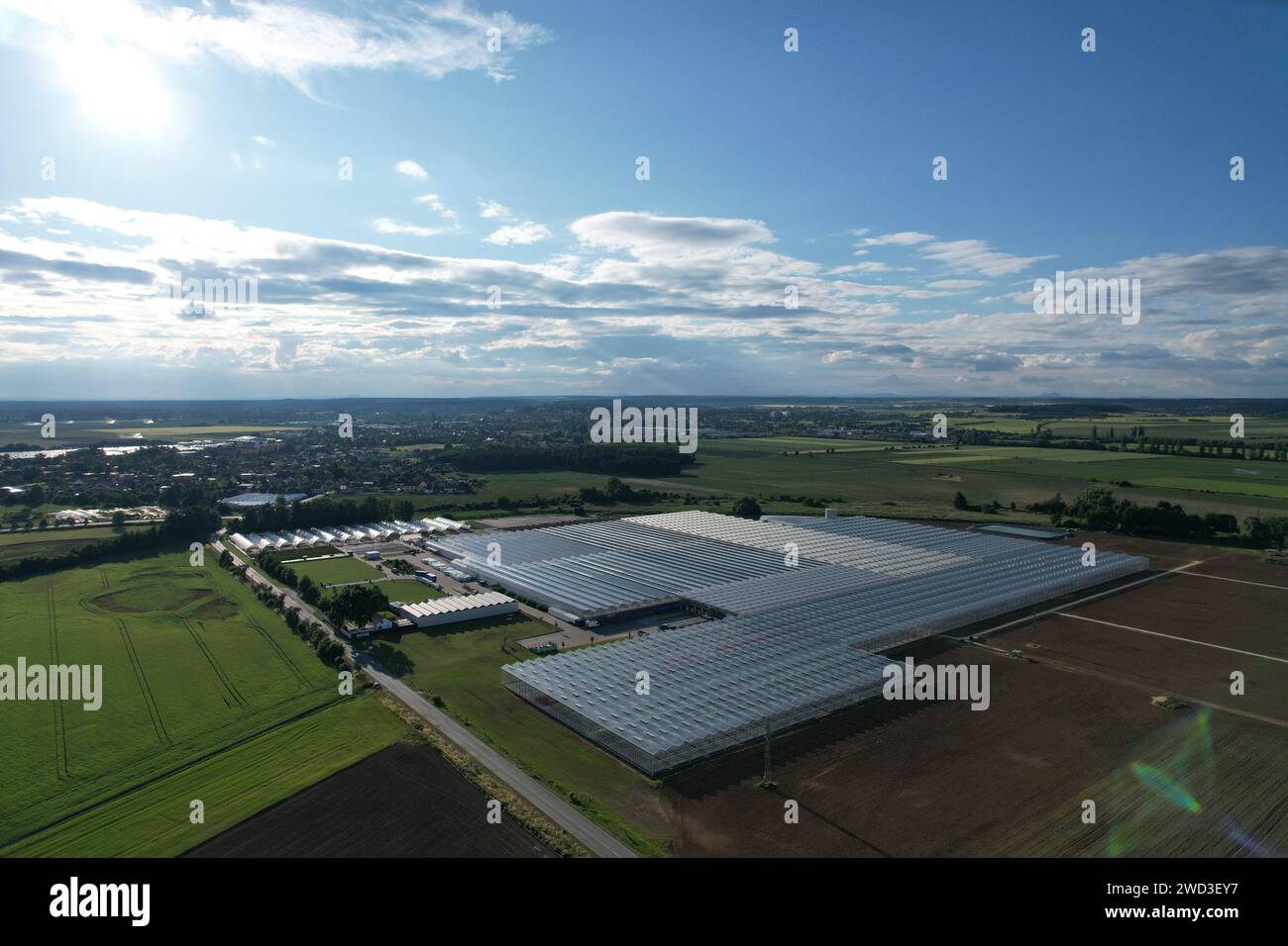 Serres en verre d'en haut par temps ensoleillé, grandes maisons en verre de vue panoramique aérienne, agriculture moderne intensive en Europe Banque D'Images