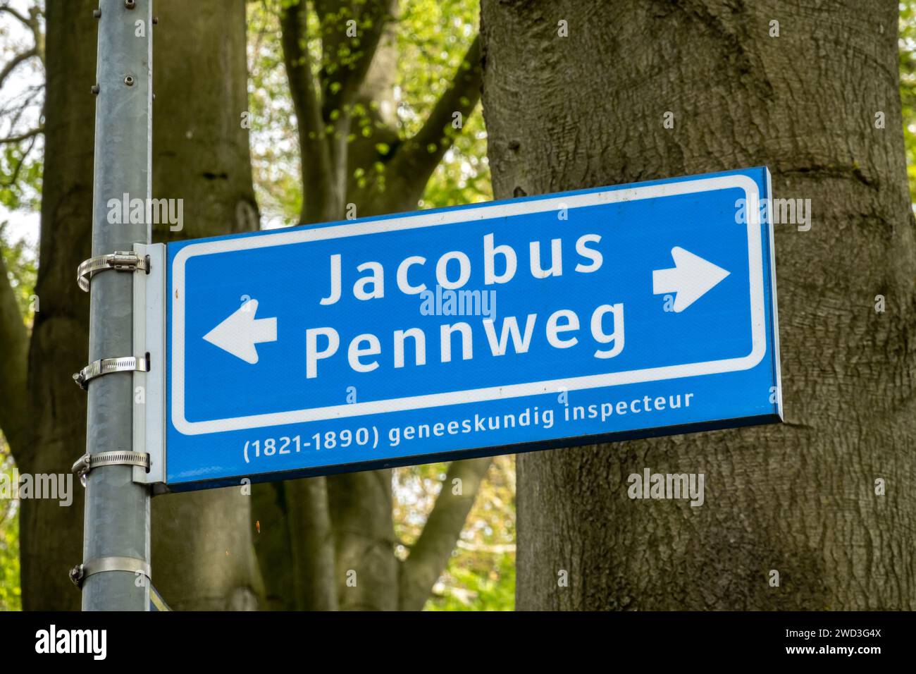 Panneau bleu du nom de rue de Jacobus Pennweg, nommé d'après l'inspecteur sanitaire, à Hilversum, pays-Bas Banque D'Images