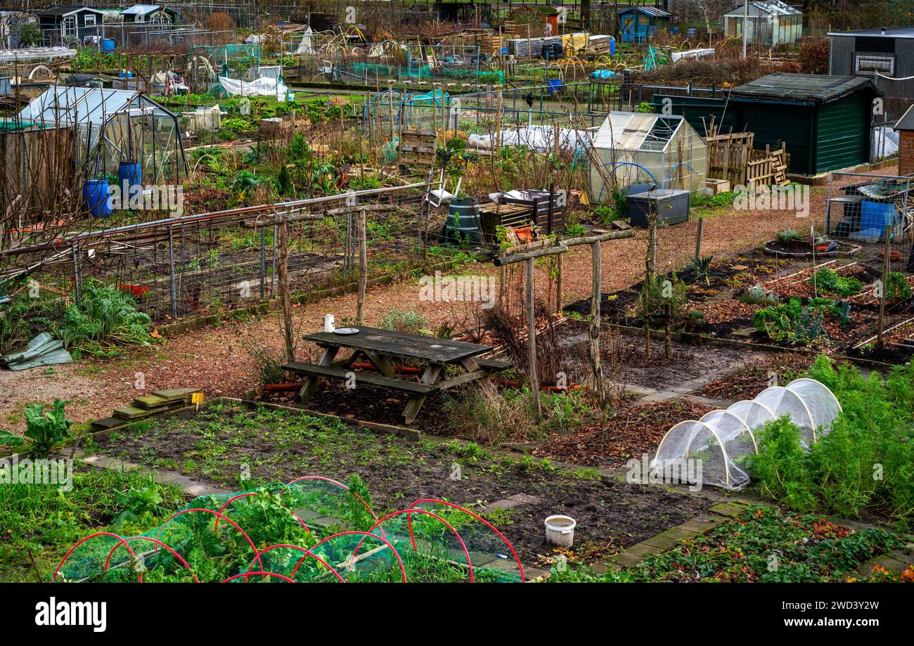 Jardins locatifs dans un quartier résidentiel à Amersfoort, pays-Bas Banque D'Images