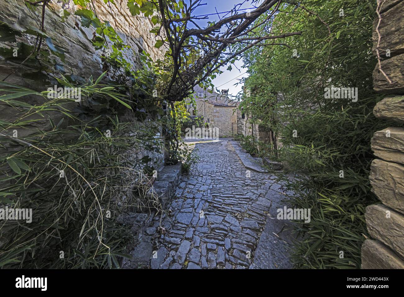 Photo de la ville fantôme historique de Dvigrad en Instrie pendant la journée en été Banque D'Images