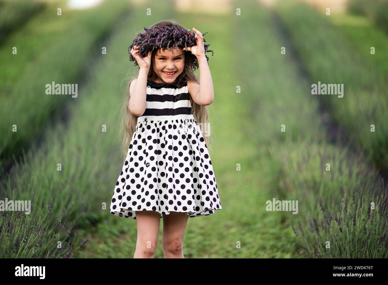 mignonne petite fille souriant et fixant sa couronne qui est tombée de sa tête, marchant dans un champ de lavande. Banque D'Images