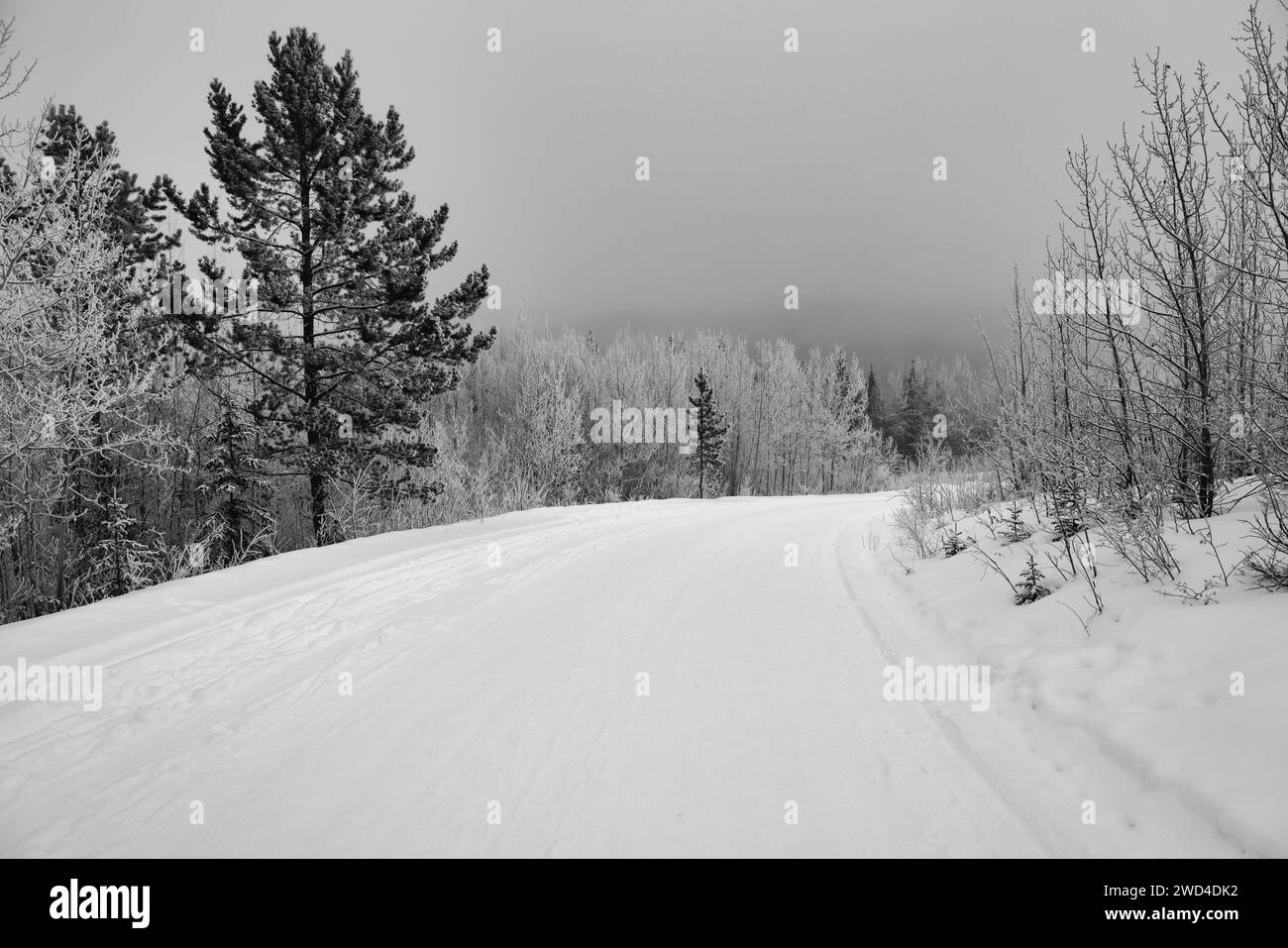 Une route typique du Yukon par une journée d'hiver très froide et enneigée Banque D'Images