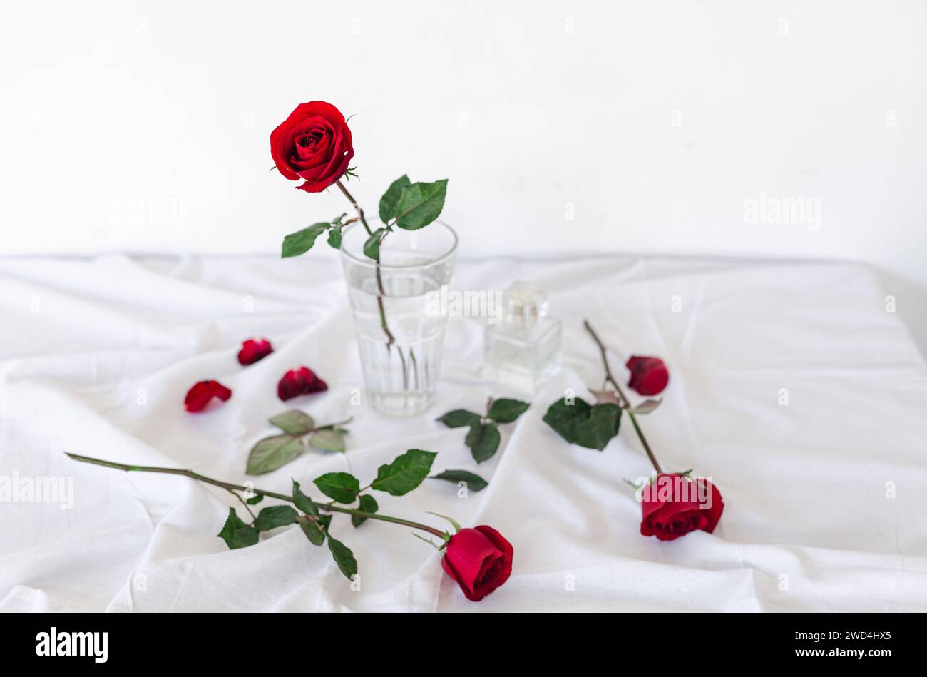 Rose rouge sur tissu blanc à côté de l'eau Banque D'Images