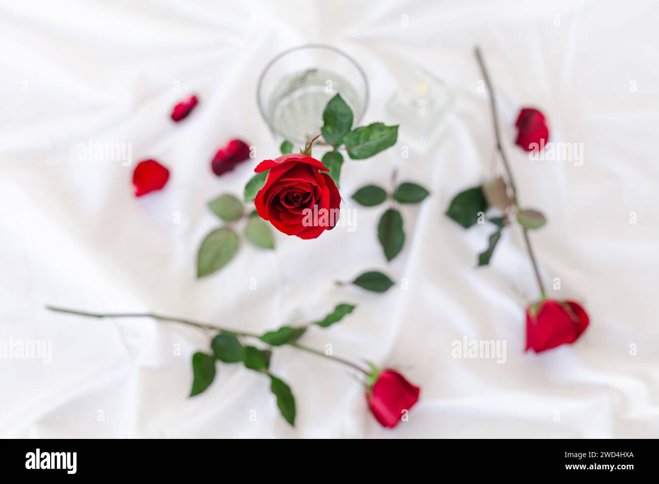 Rose rouge sur un lit à côté d'un verre et de deux cuillères Banque D'Images