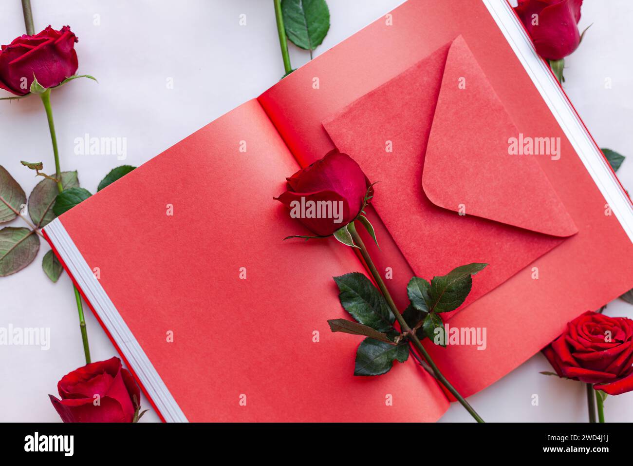 Papier rouge avec des roses et une enveloppe ouverte Banque D'Images Papier rouge avec des roses et une enveloppe ouverte Banque D'Images