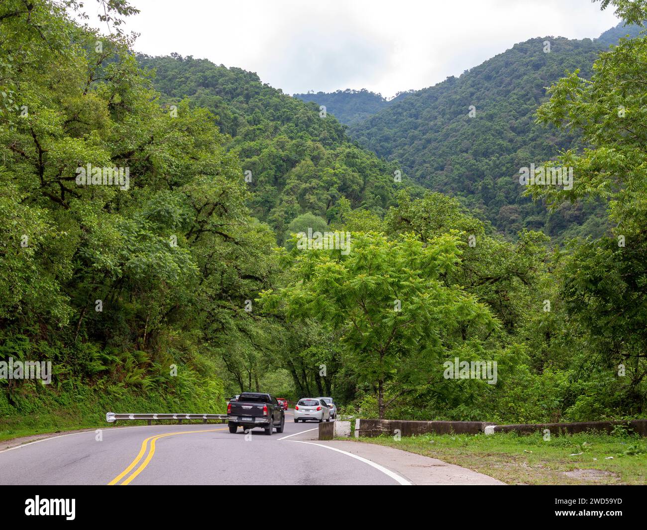 Forêt luxuriante près de El Mollar sur la Ruta 307, Tucuman Proince, Argentine Banque D'Images