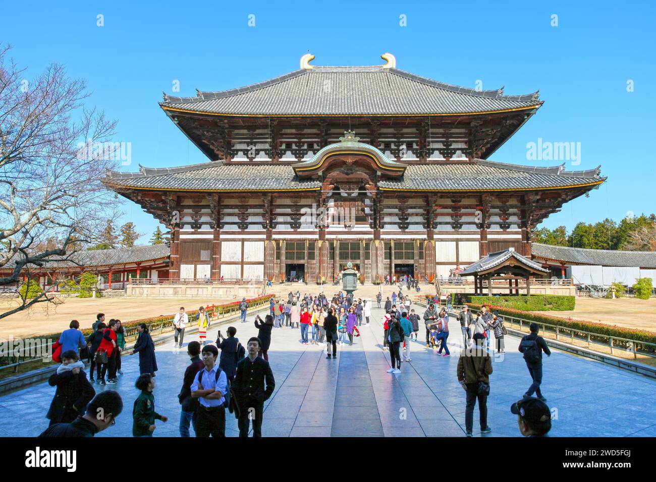 Temple Todaiji, un site du patrimoine mondial de l'UNESCO à Nara, Japon Banque D'Images