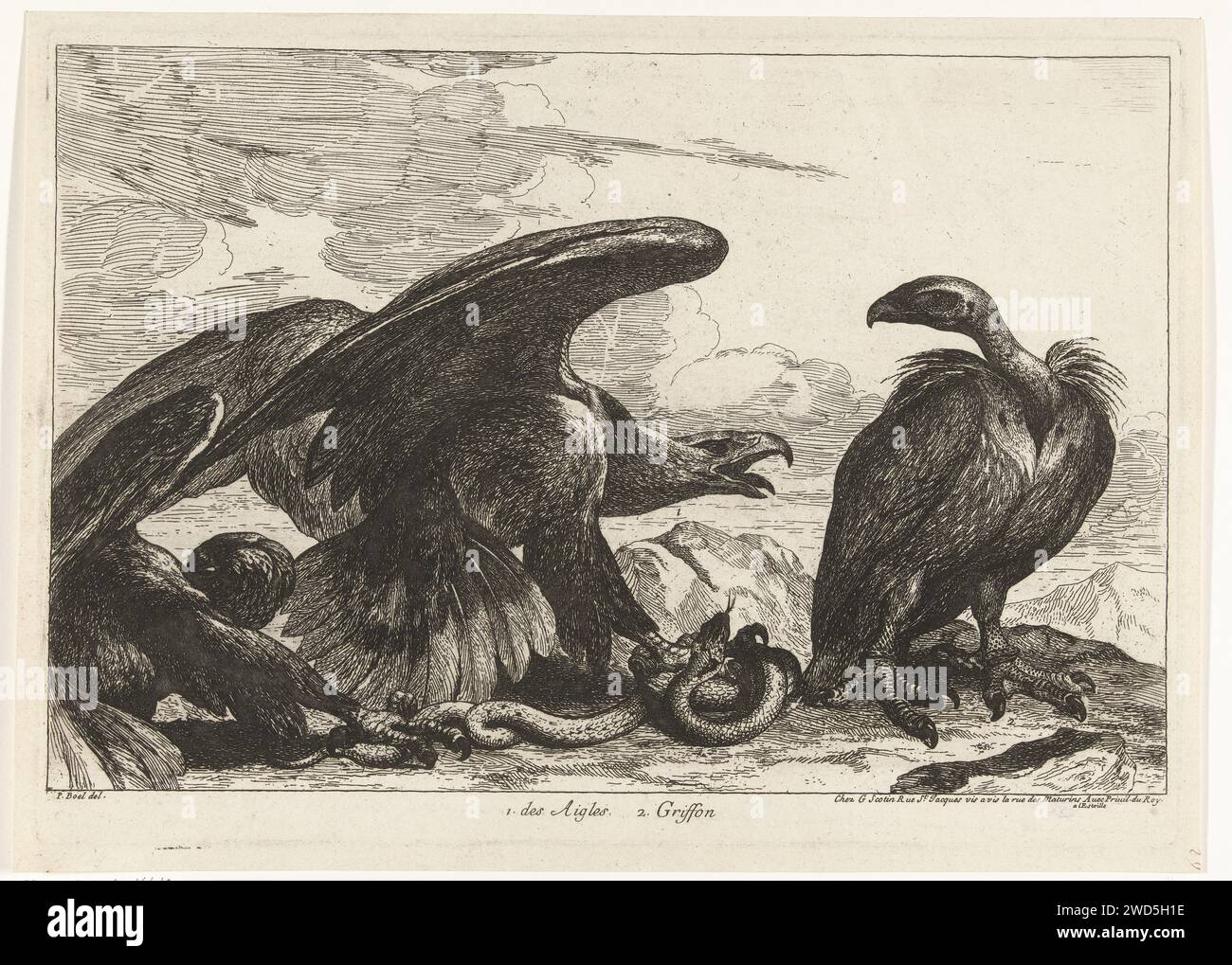 Gier et un aigle avec tuyau, Peeter Boel (attribué à), d'après Peeter Boel, 1670 - 1674 estampe dans un paysage rocheux, un aigle et un vautour d'un serpent se battent. Gravure sur papier de Paris oiseaux prédateurs : aigle. oiseaux prédateurs : vautour Banque D'Images