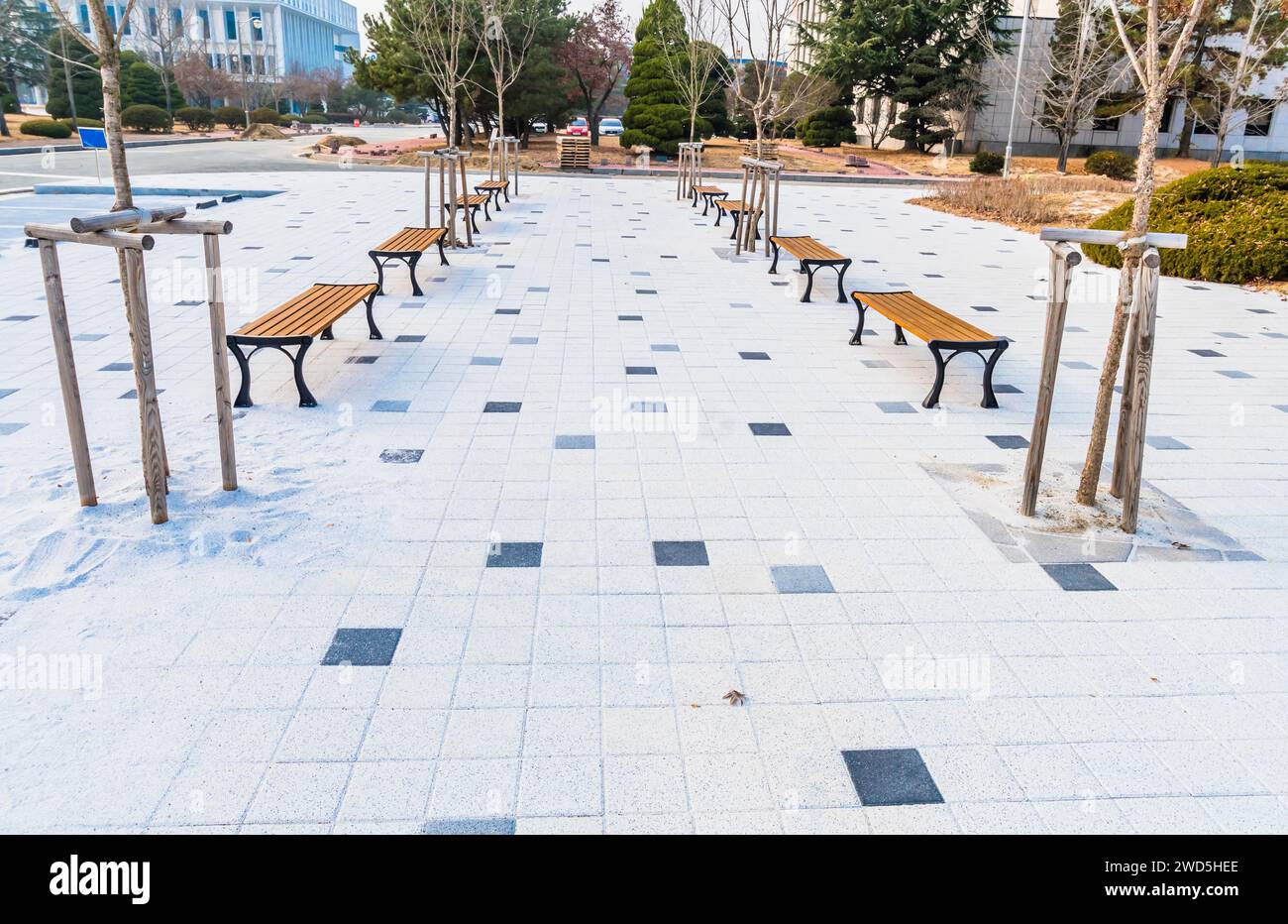 Paysage urbain de deux rangées de bancs de parc et de jeunes arbres sur plaza Walkway, Corée du Sud, Corée du Sud, Corée du Sud Banque D'Images