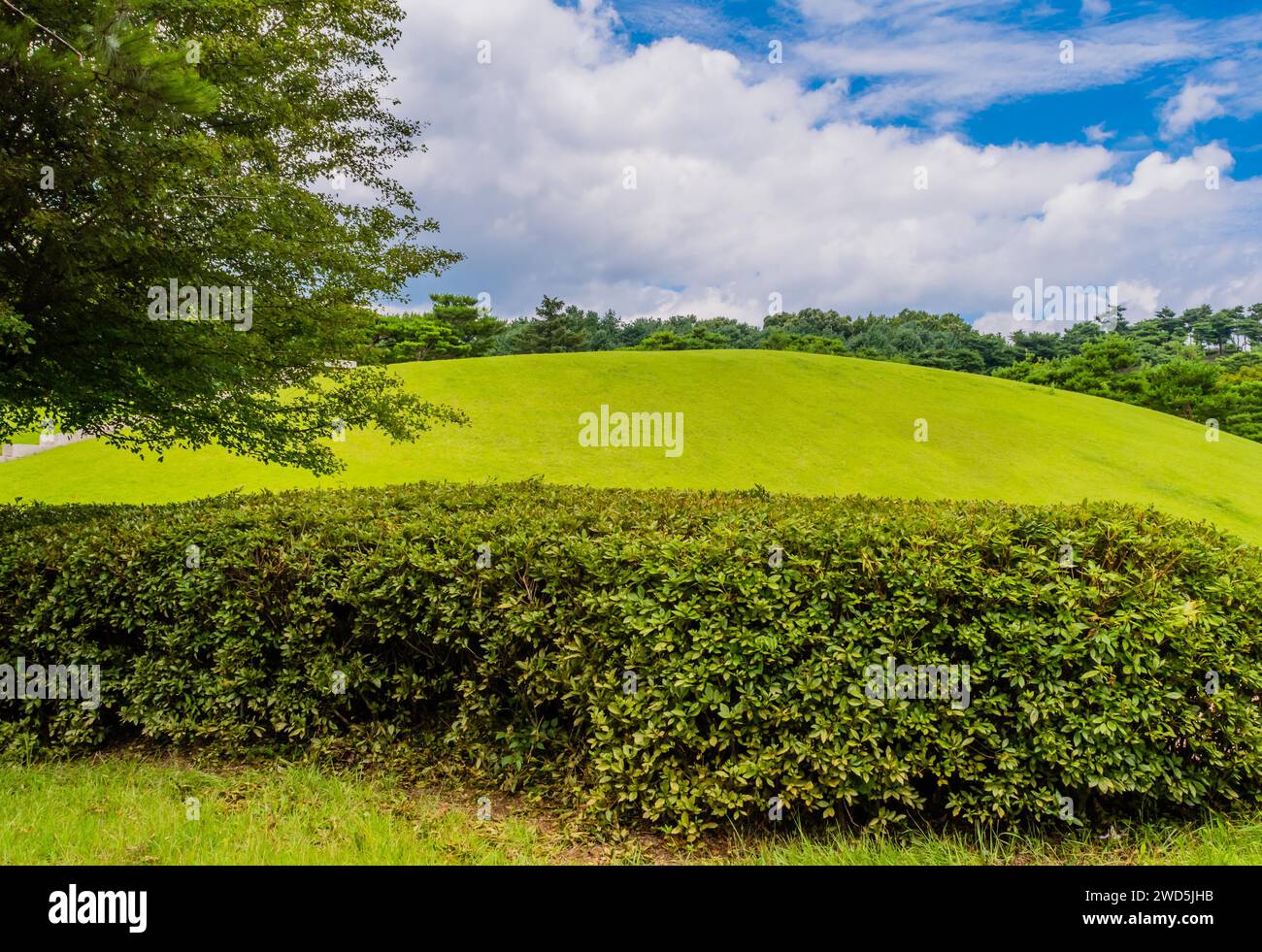 Tombe du roi Muryeong derrière des arbustes verts sous un ciel nuageux à Gongju, Corée du Sud, Corée du Sud, Corée du Sud Banque D'Images